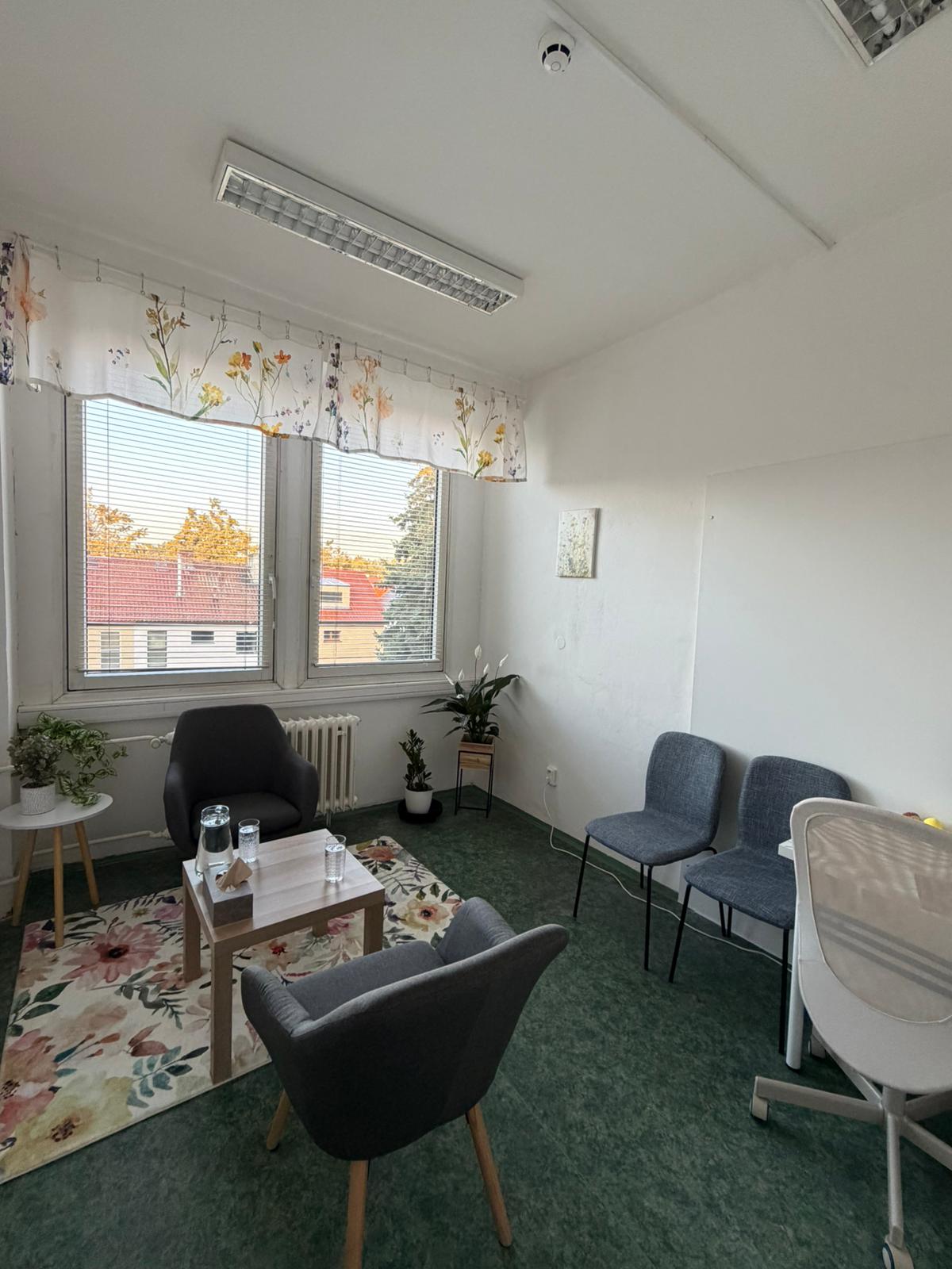Klinika psychologie a psychoterapie - Lidsky a logicky s.r.o. foto 3