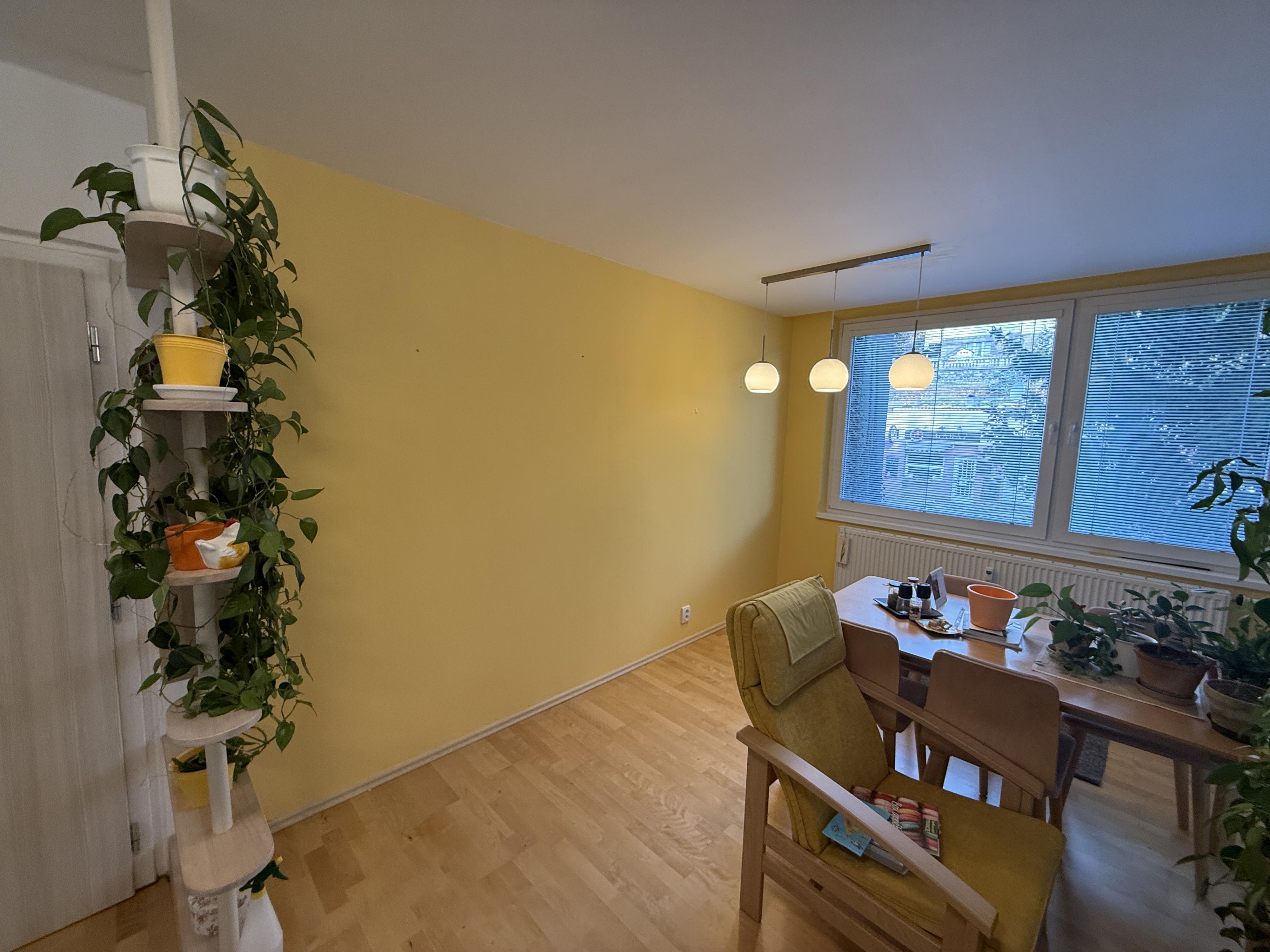 Malířské a dekorativní práce Bemal foto 2