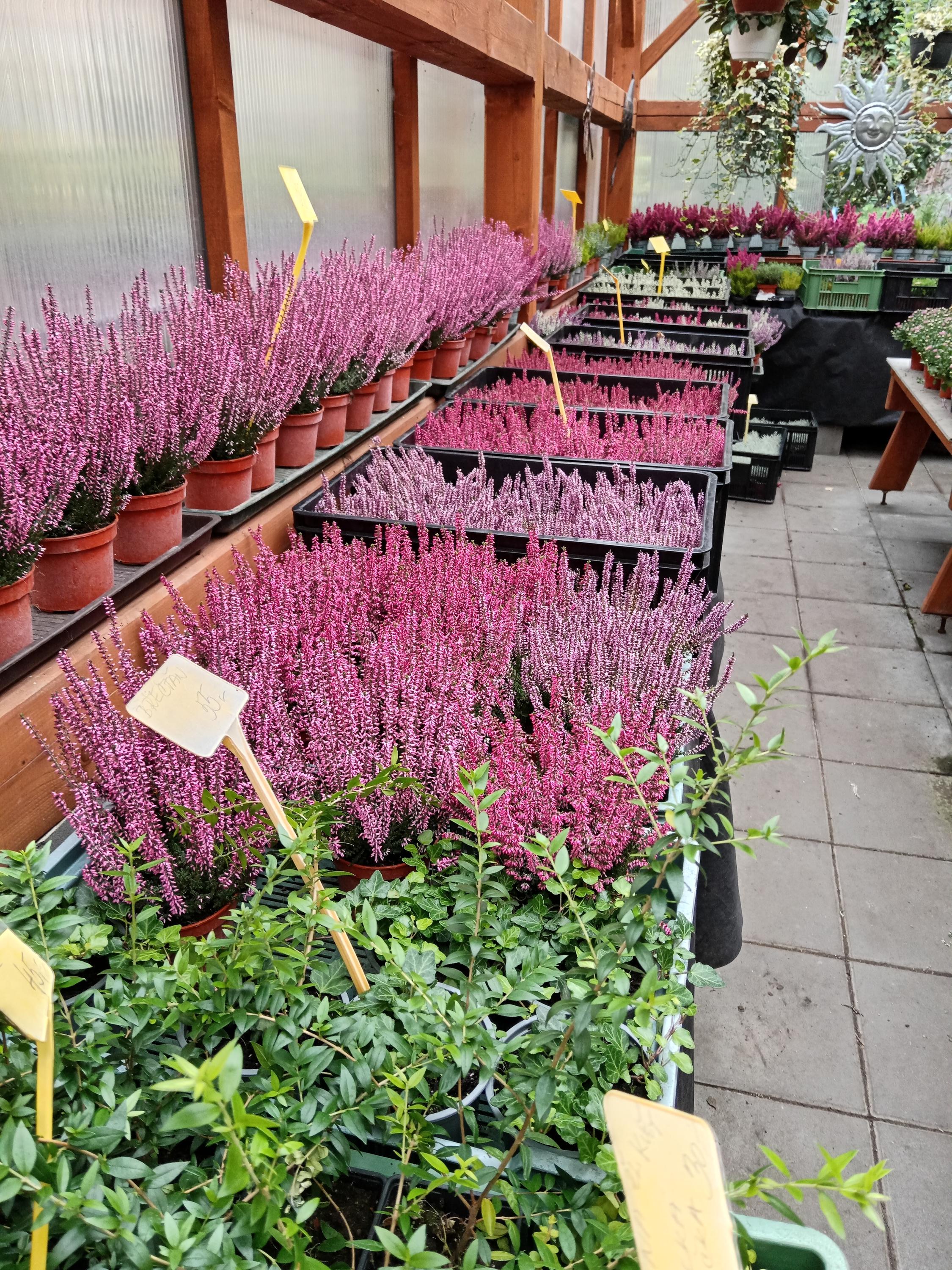 Zahradnictví u Plíhalů foto 1