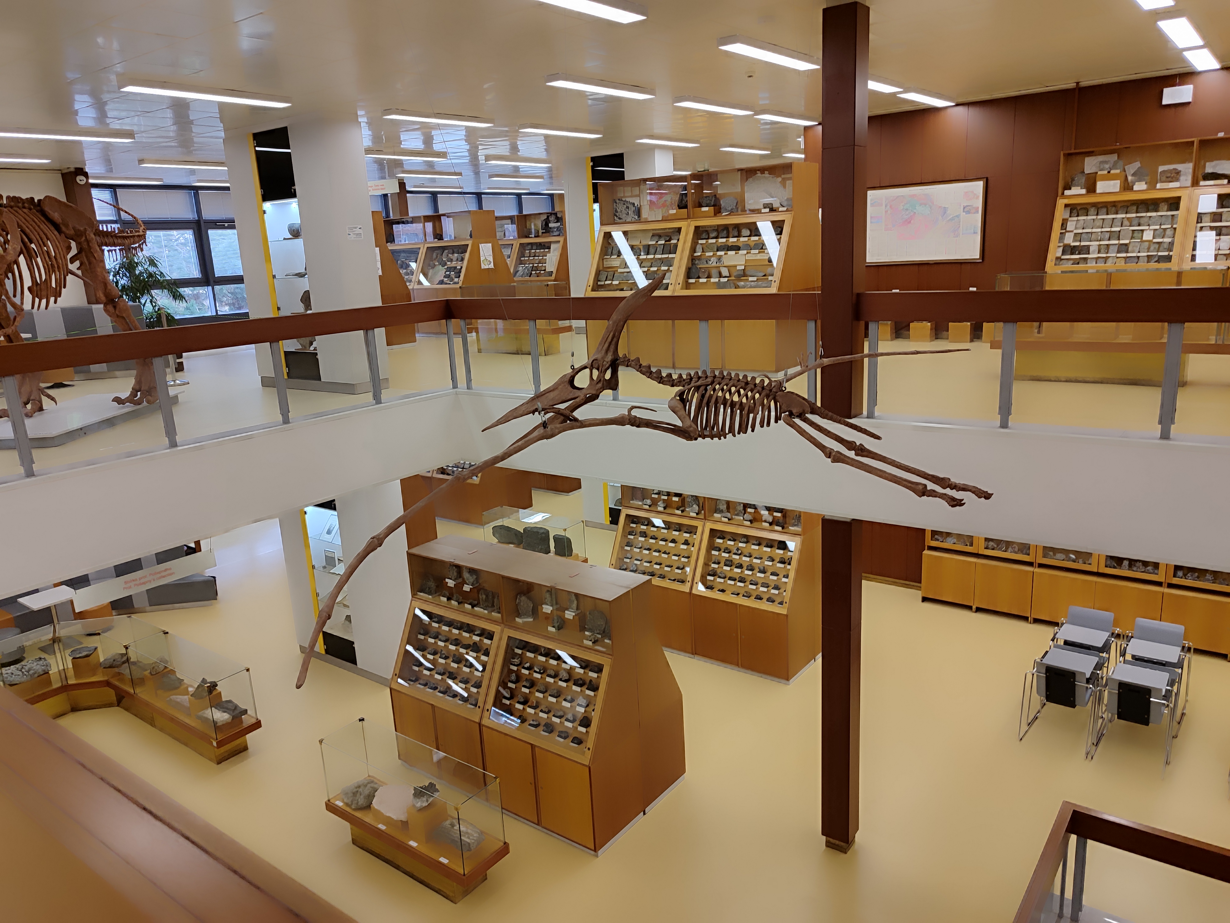 Geologický pavilon Prof. F. Pošepného foto 4