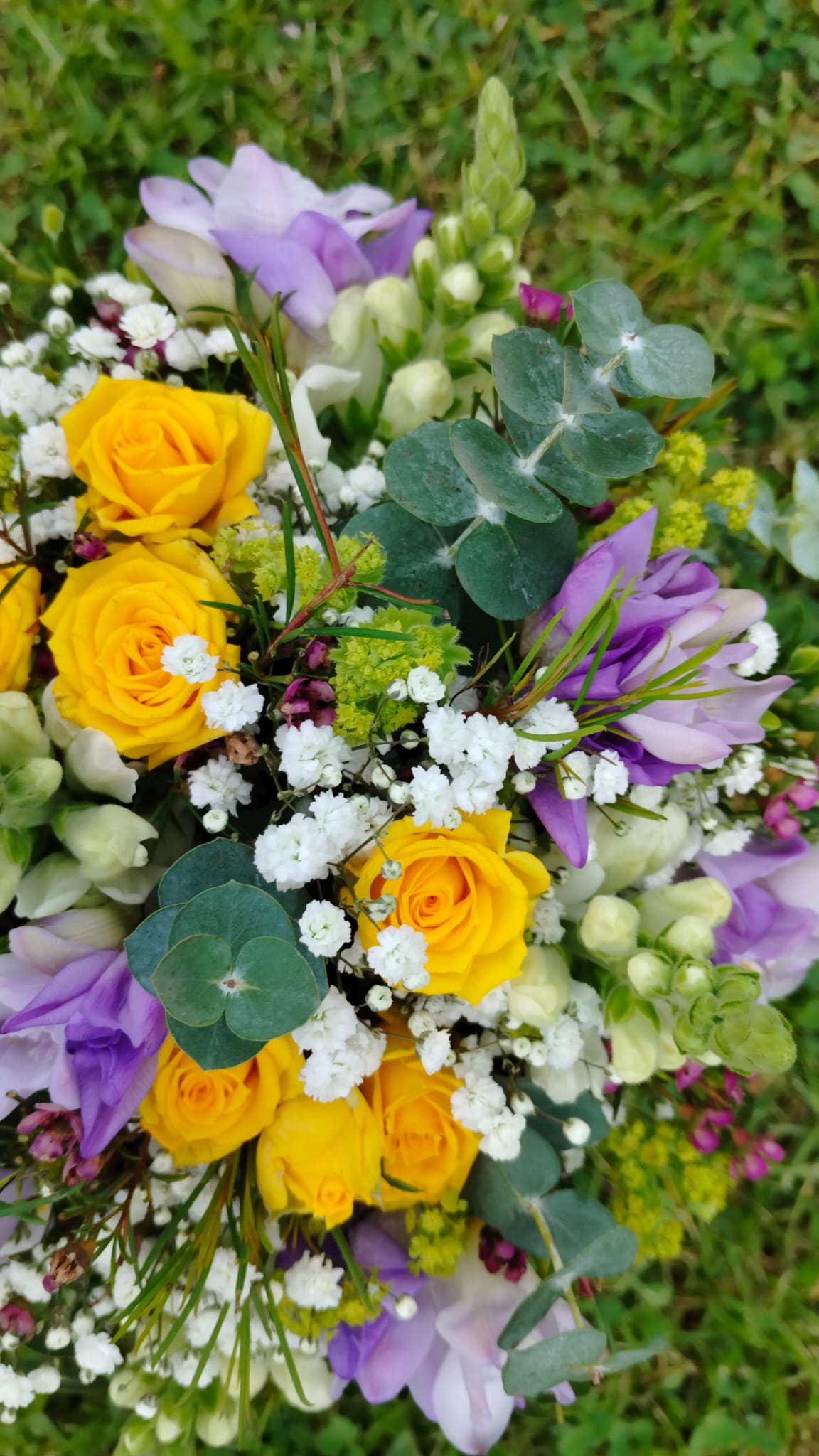 Zahrada nad řekou foto 3