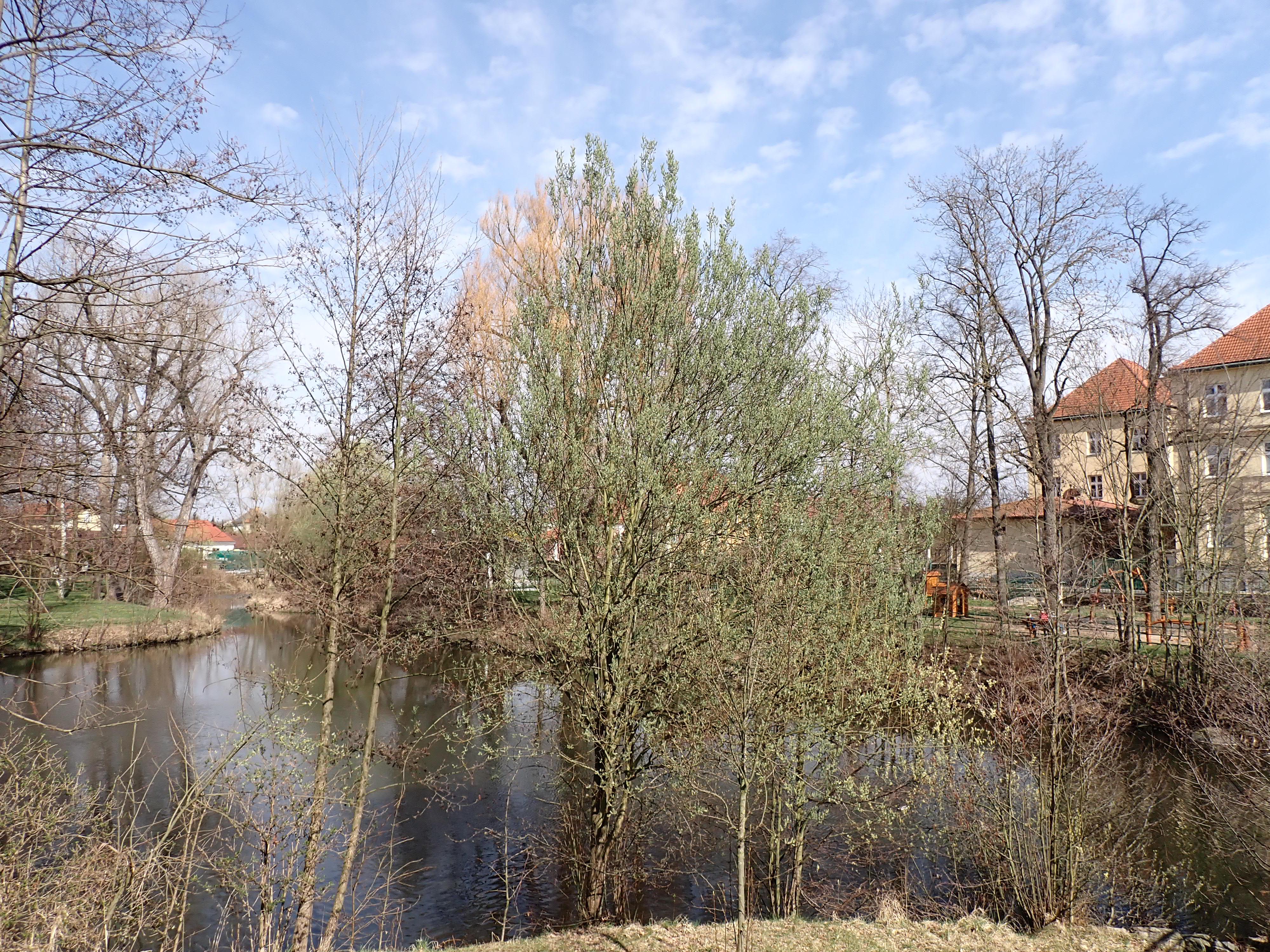 Živnostenský úřad Blatná foto 6