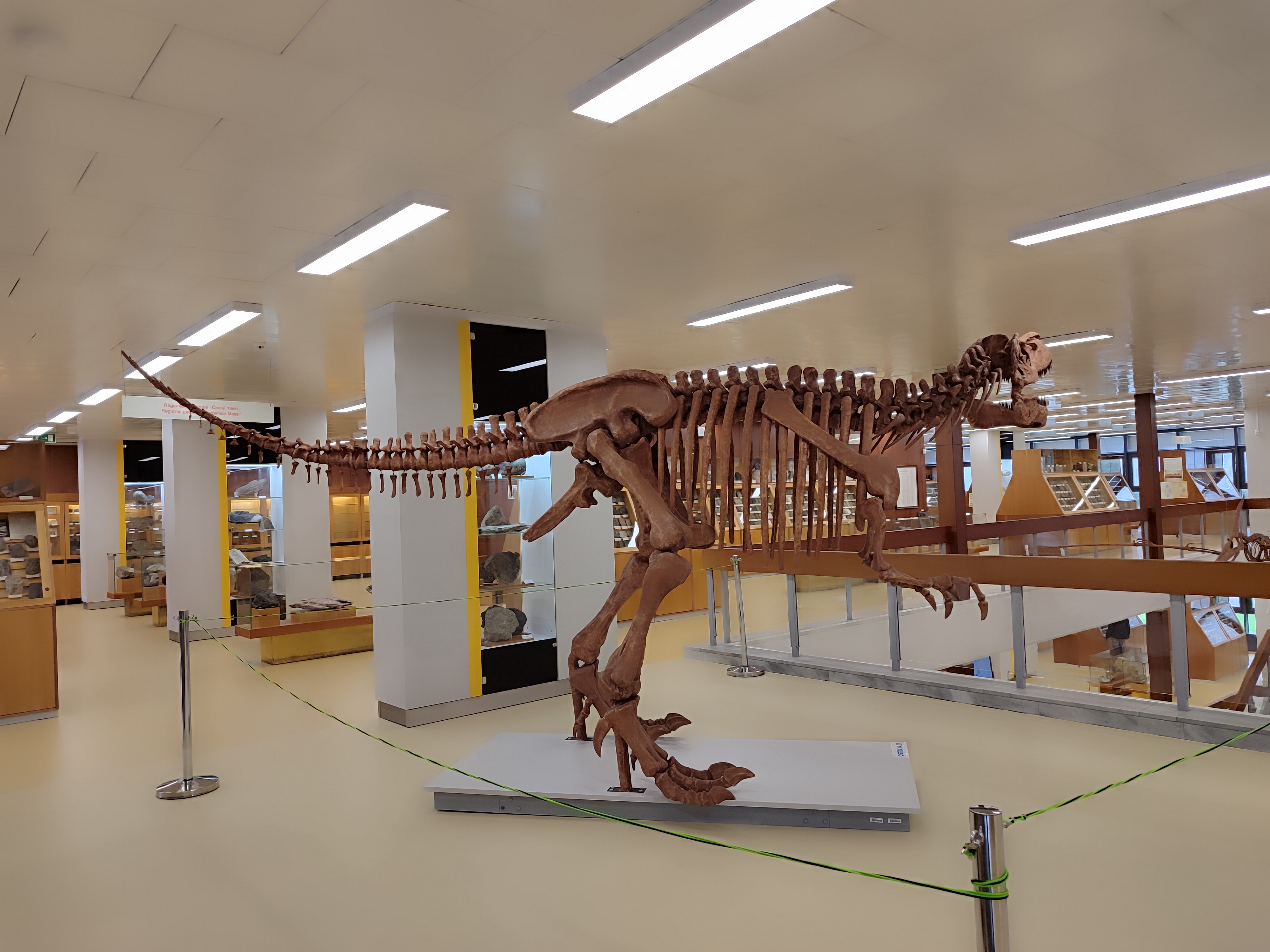 Geologický pavilon Prof. F. Pošepného foto 2