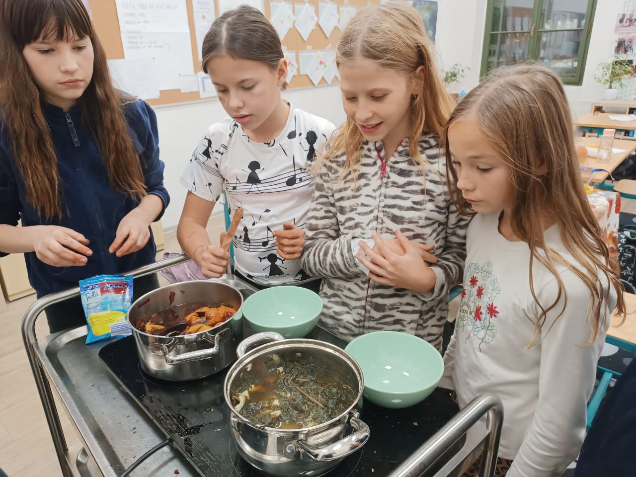 Základní škola a mateřská škola Basic foto 4