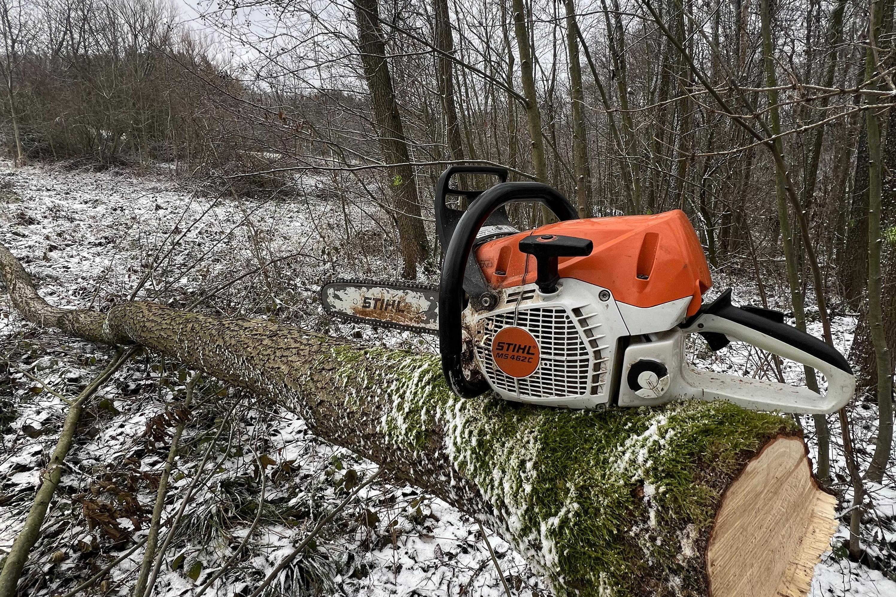 Lesnické a zahradnické práce-Arbozahrady Lapuník