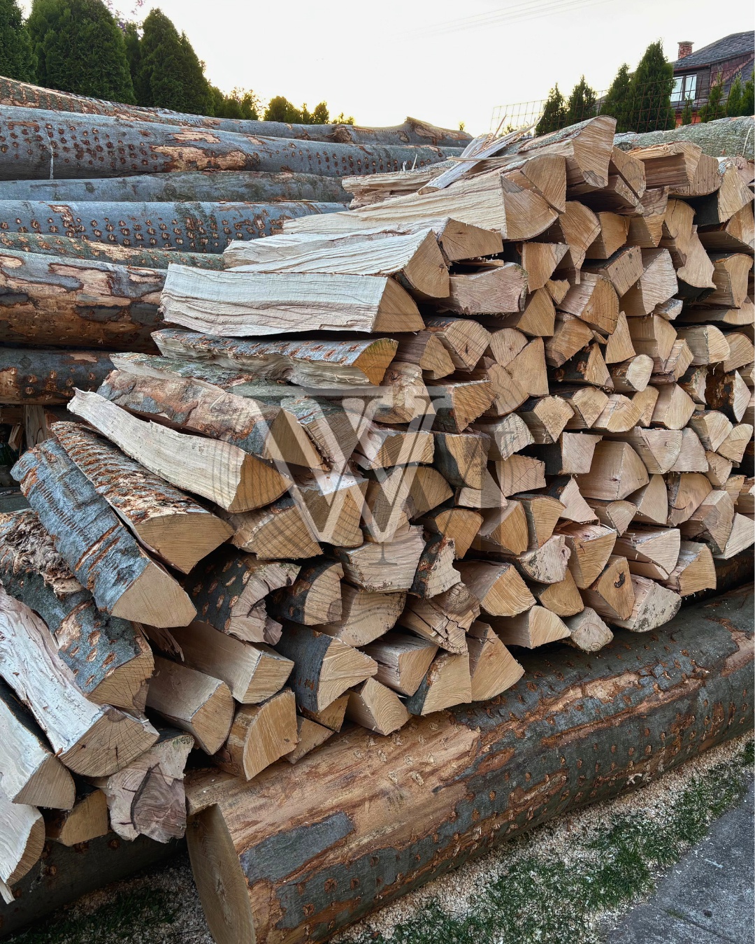 Woodmek foto 5