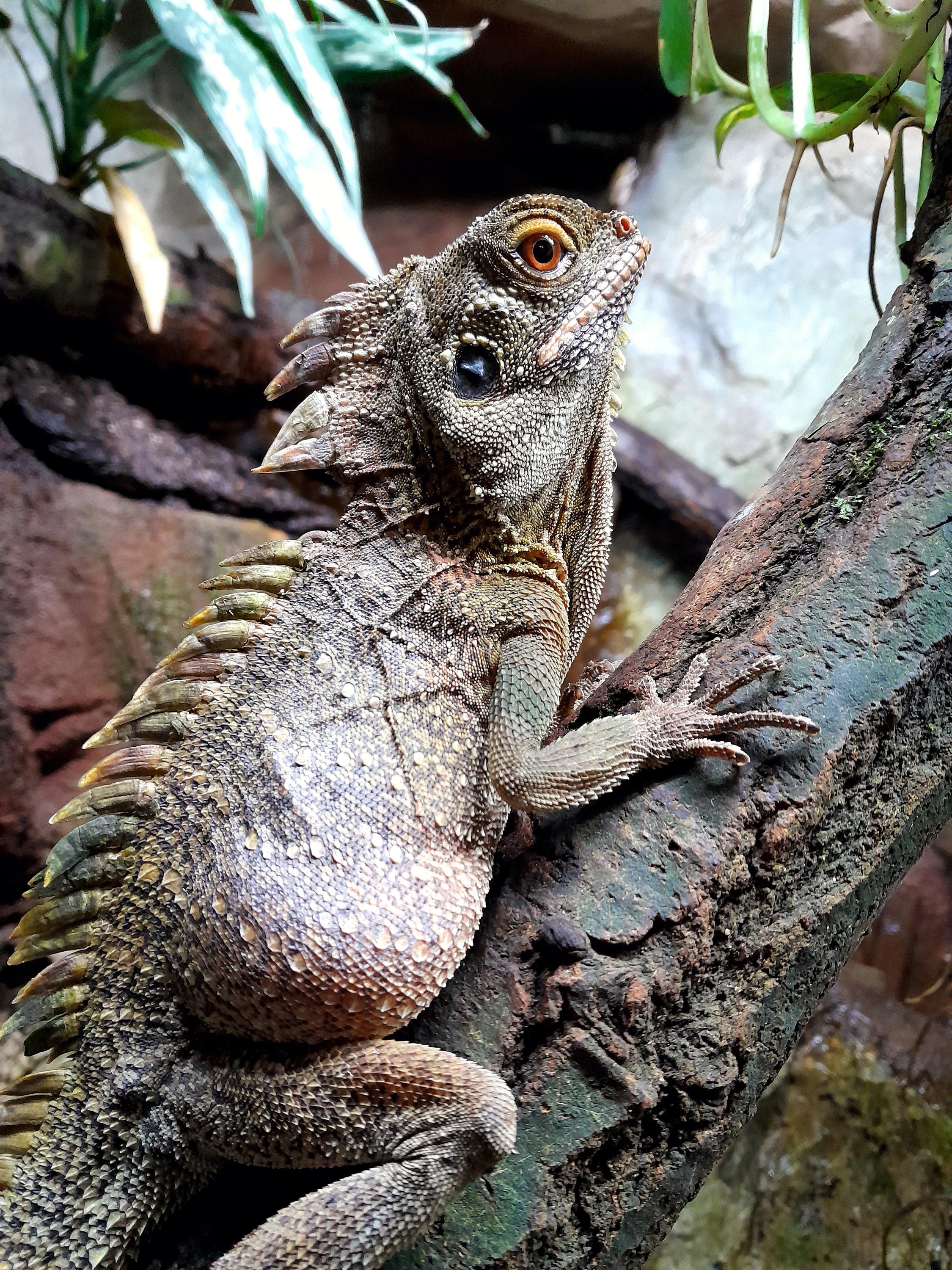 Akva Tera Zoo Plzeň foto 4