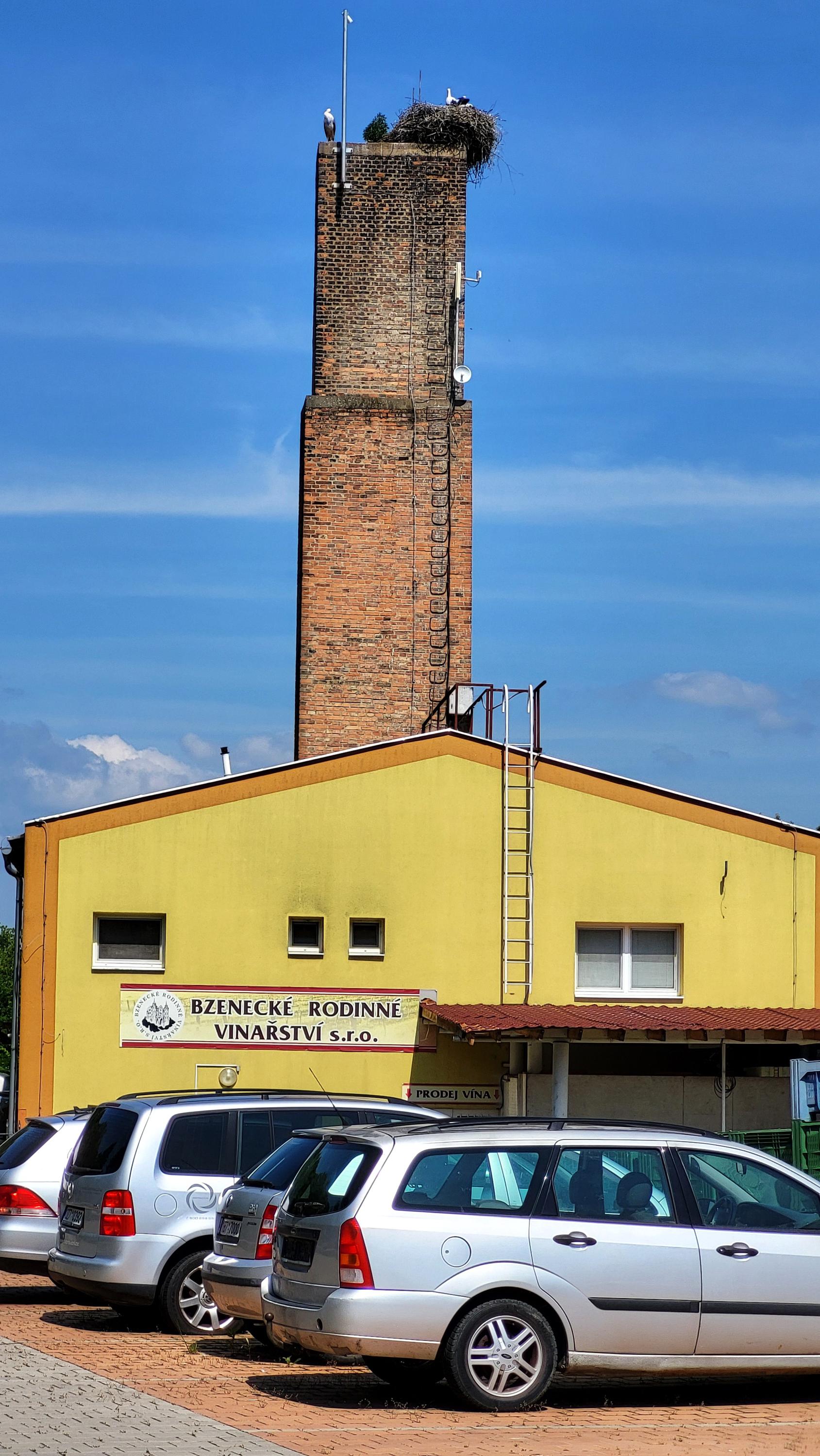Bzenecké rodinné vinařství, s.r.o. foto 2