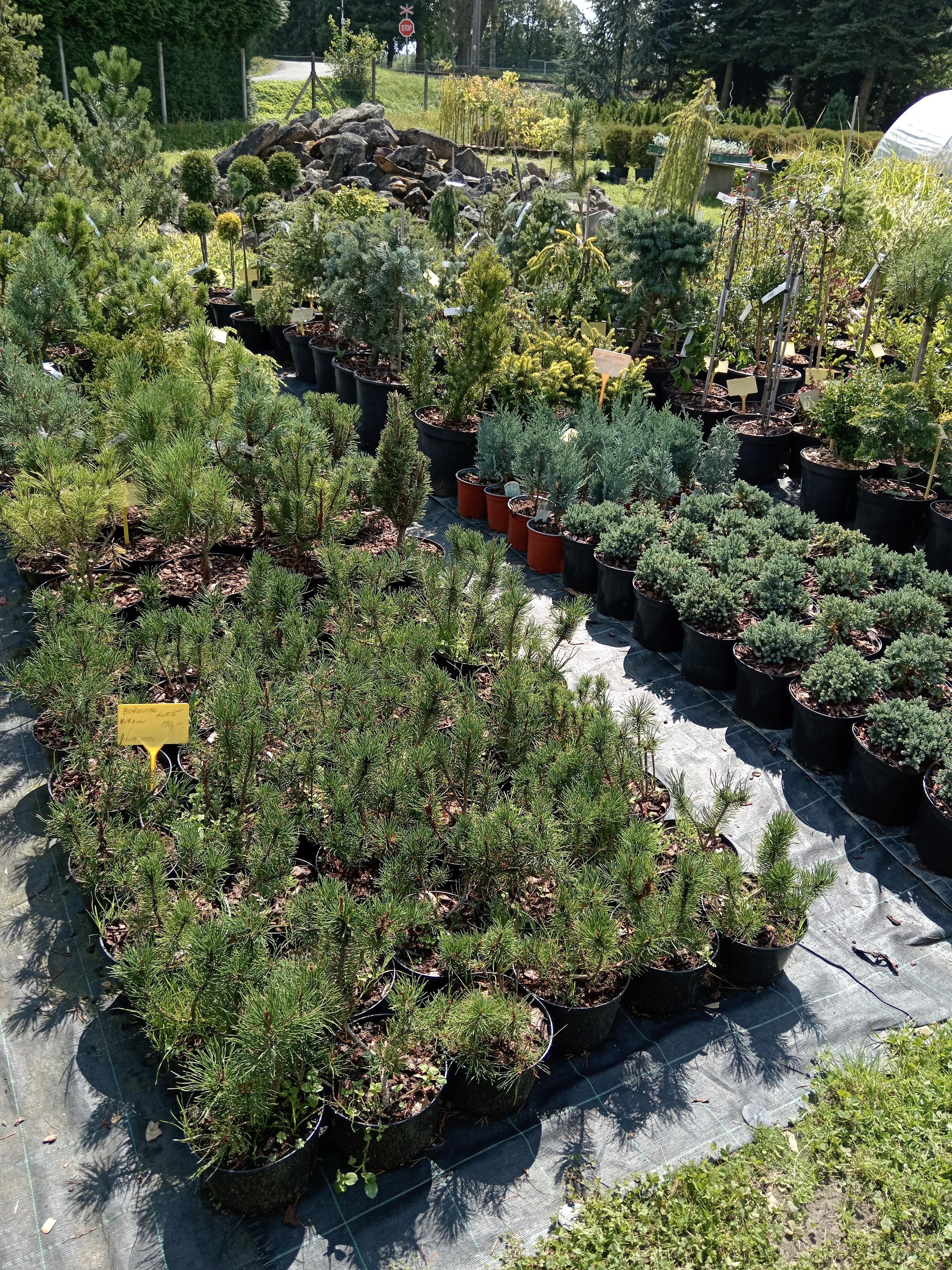 Zahradnictví u Plíhalů foto 2