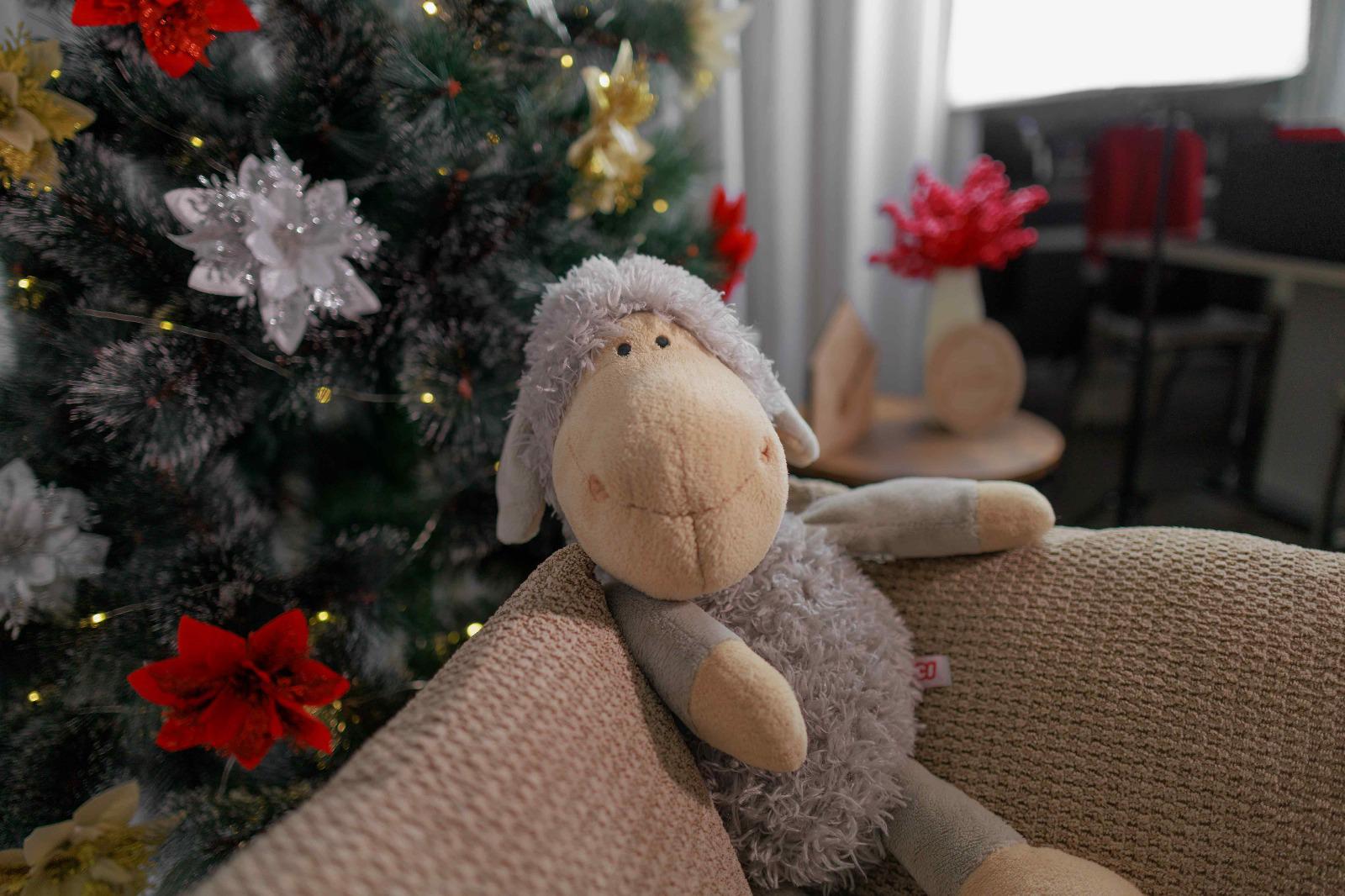 Šárka Nováková Fotografie foto 4