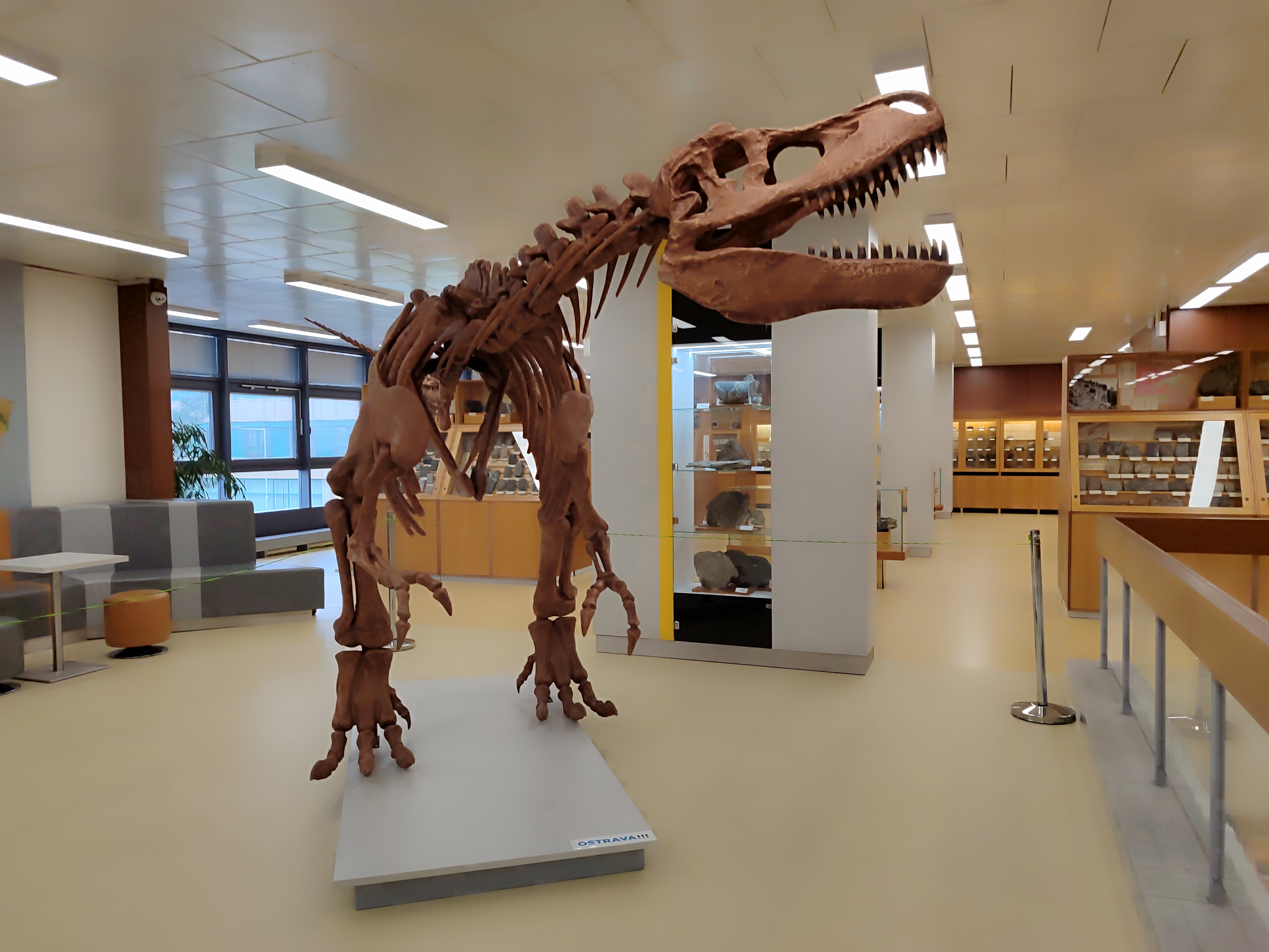 Geologický pavilon Prof. F. Pošepného foto 3
