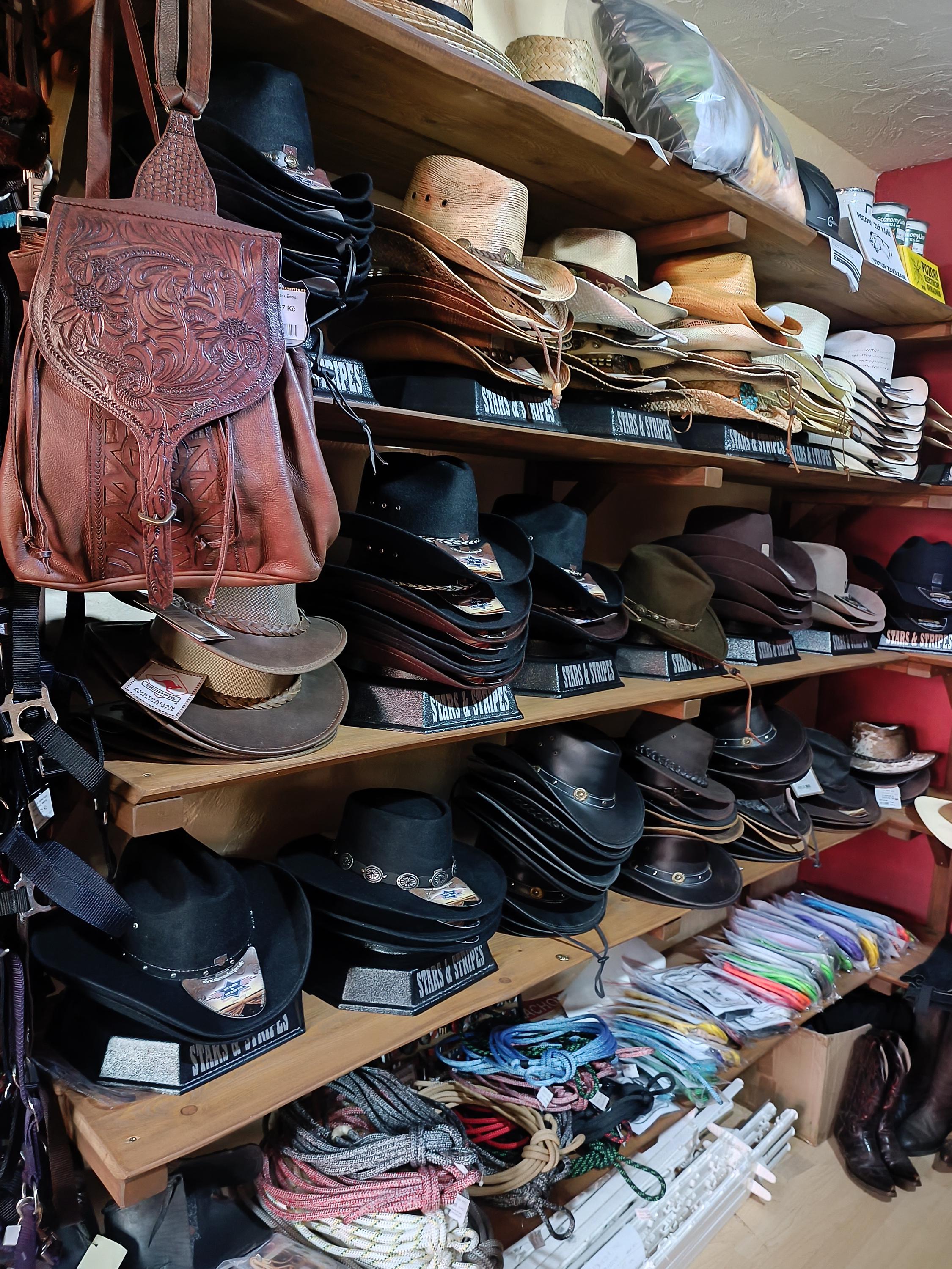 Chopper-horse shop foto 4