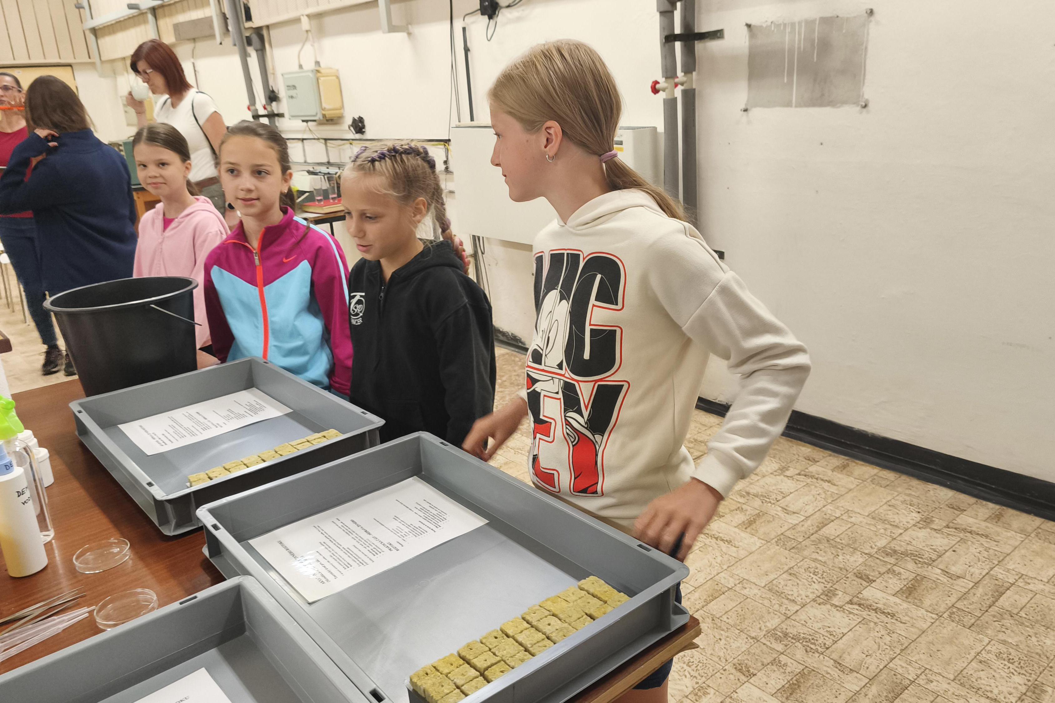 Zázračná farma bez hlíny - vzdělávací program