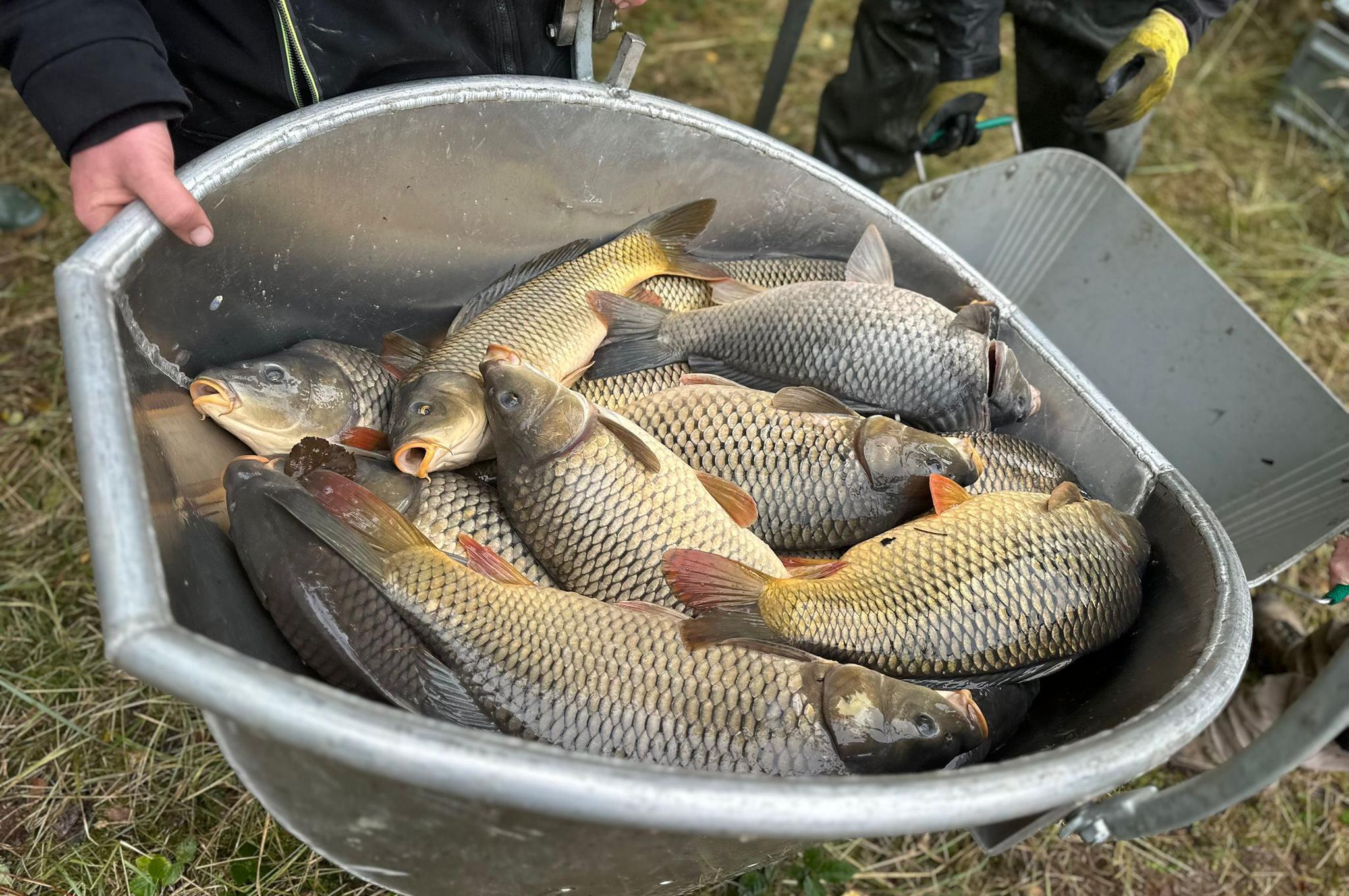Rybářský spolek Strážkovice