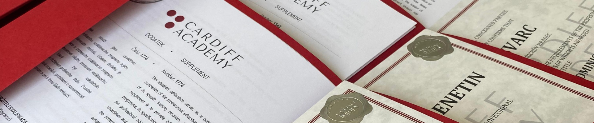 Úvodní obrázek Cardiff Academy SE