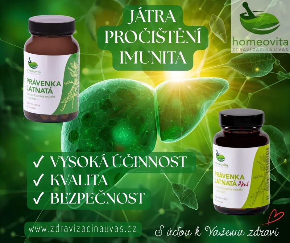 Mgr. Kateřina Vejrychová - Homeovita foto 2