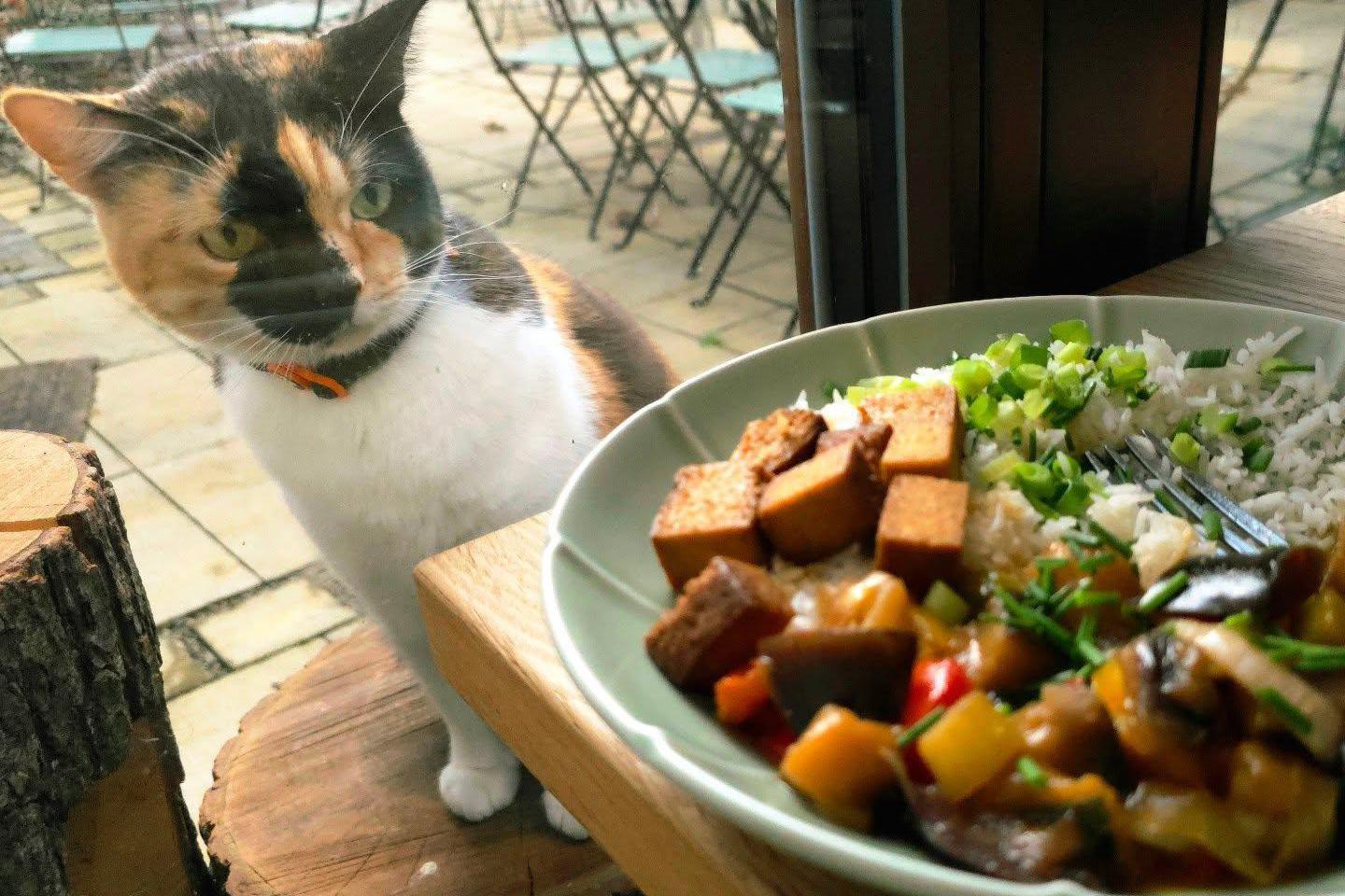 FRYENDS & pivovar Netopýrka