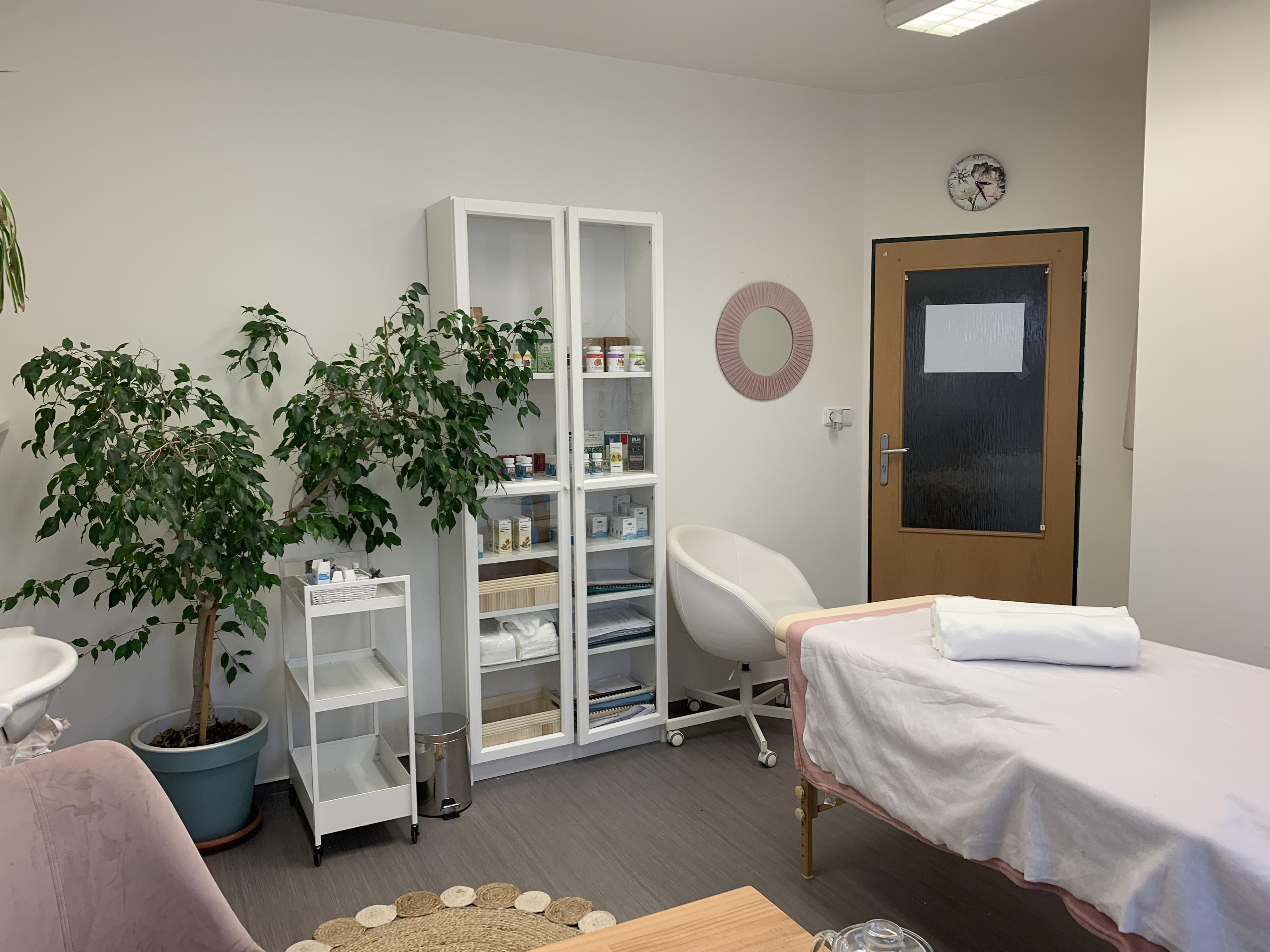Tradiční čínská medicína - Veronika Marusičová foto 2