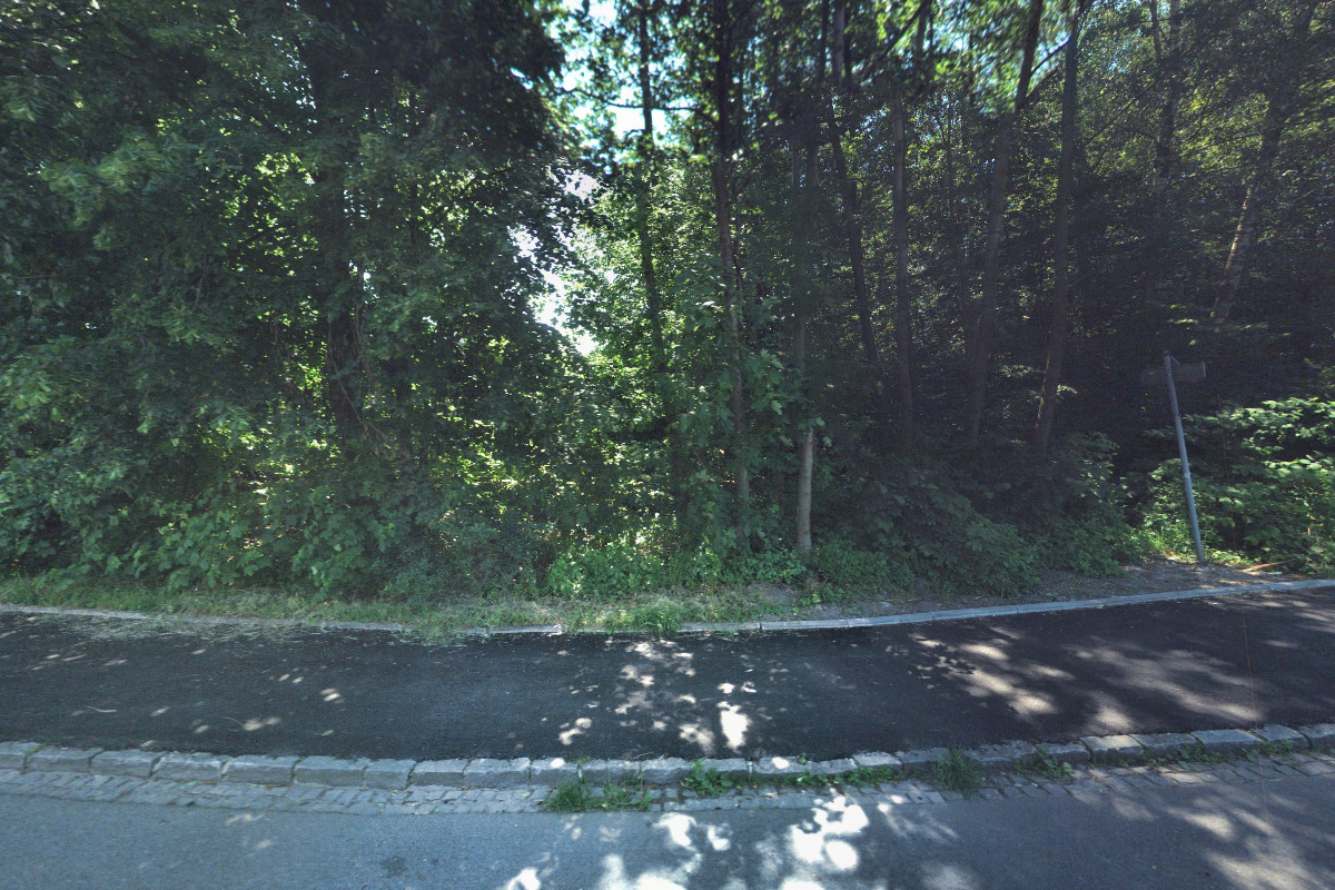 Psí škola OVA foto 2