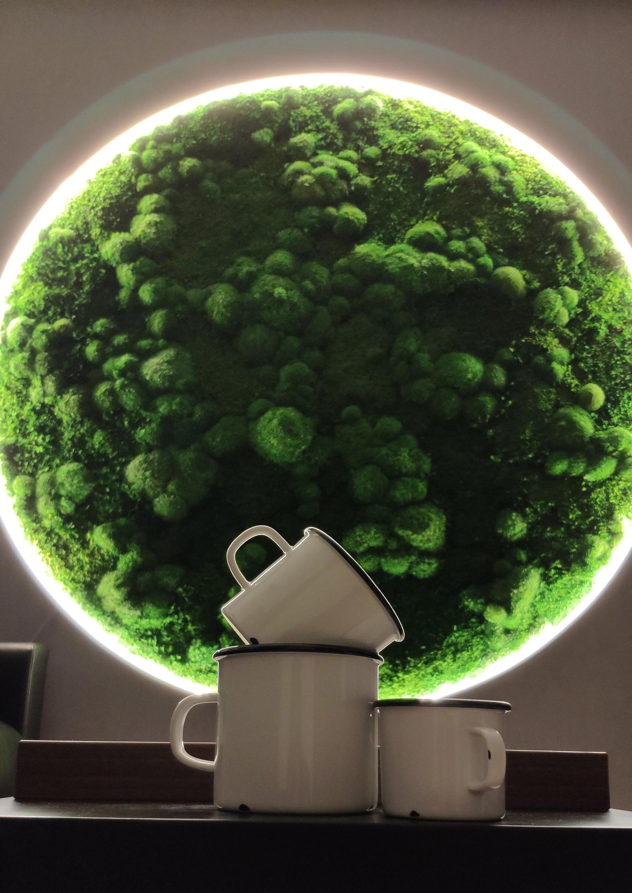 MECHOVÉ OBRAZY - MgA. Lucie Tomis foto 3