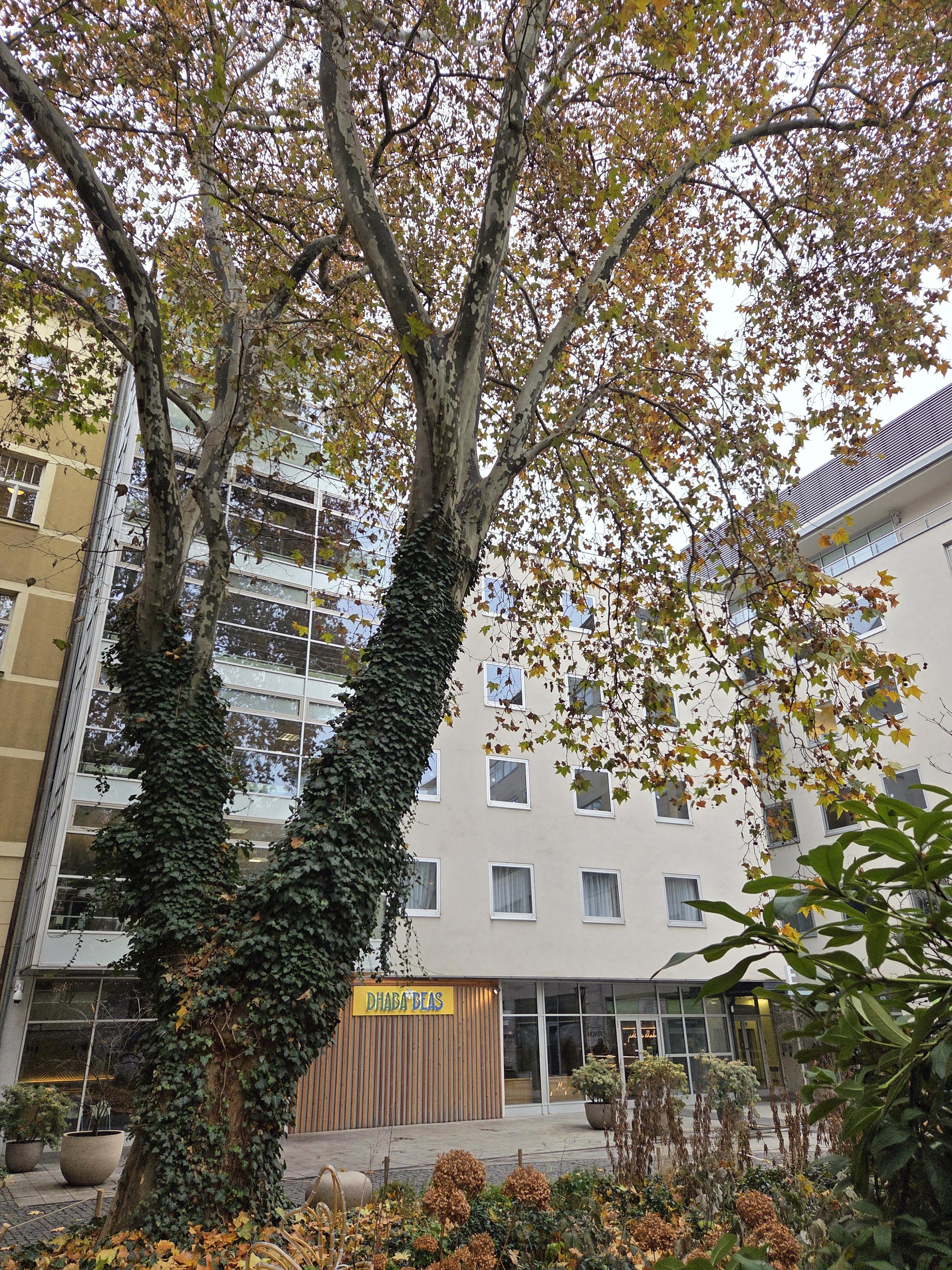 Beas Vegetarian Dhaba foto 2