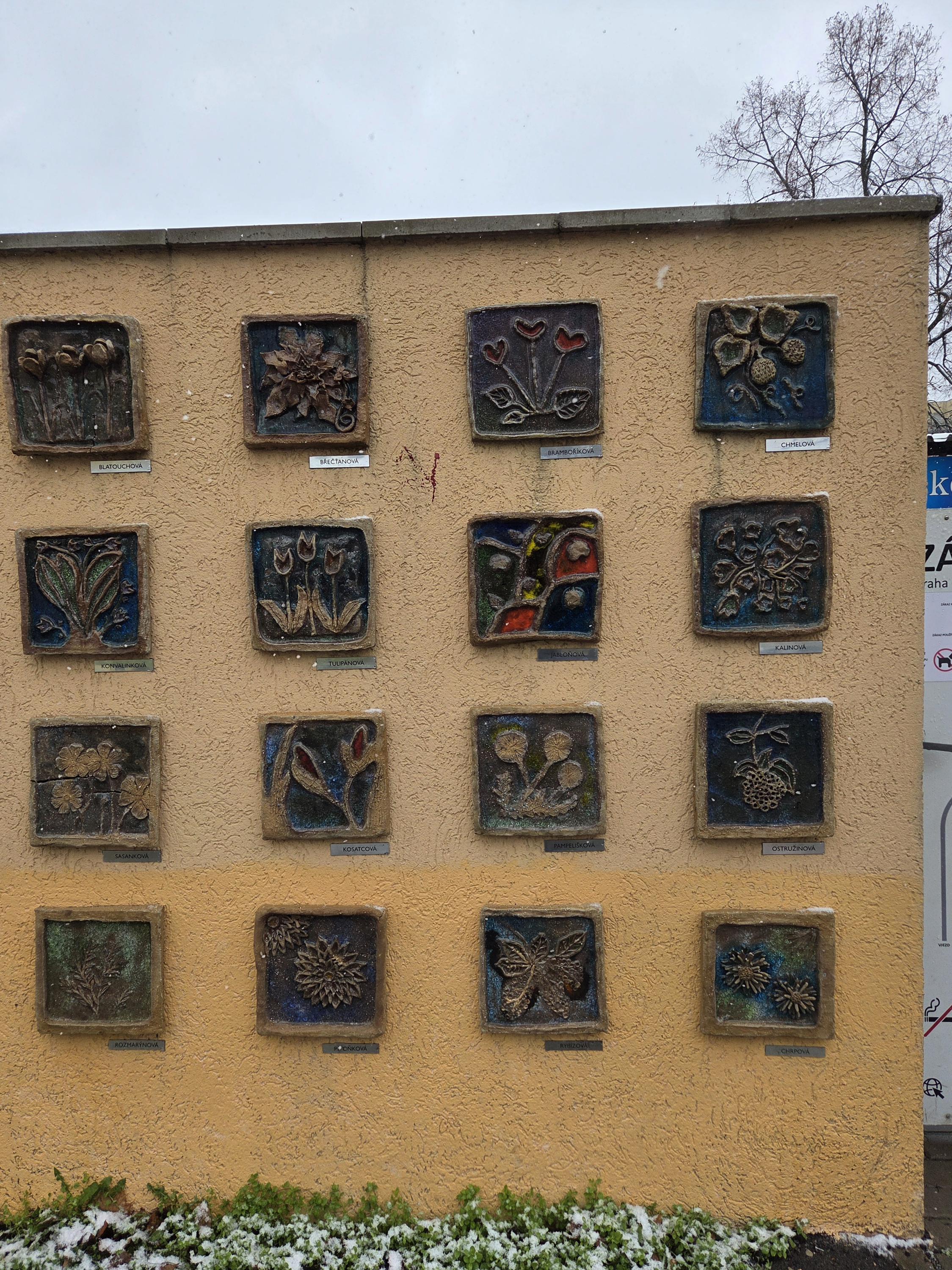 Základní škola, Praha 10, Břečťanová 2919/6 foto 5