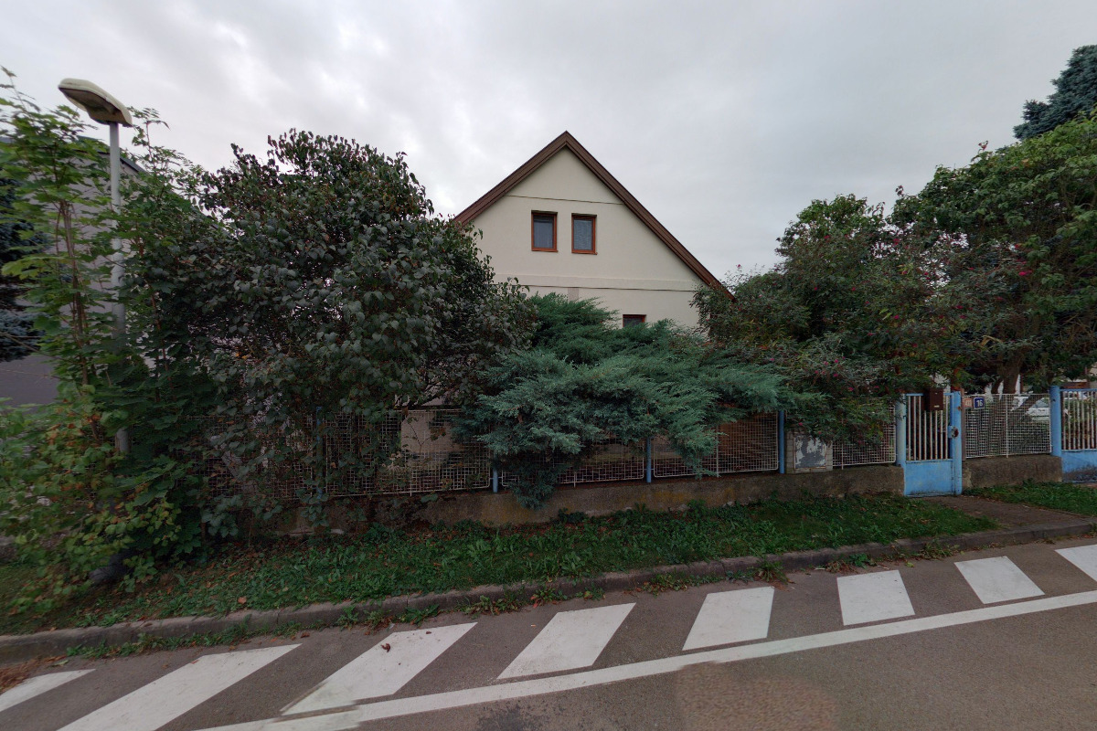 Chovatelská stanice Faelis Ragdoll foto 2