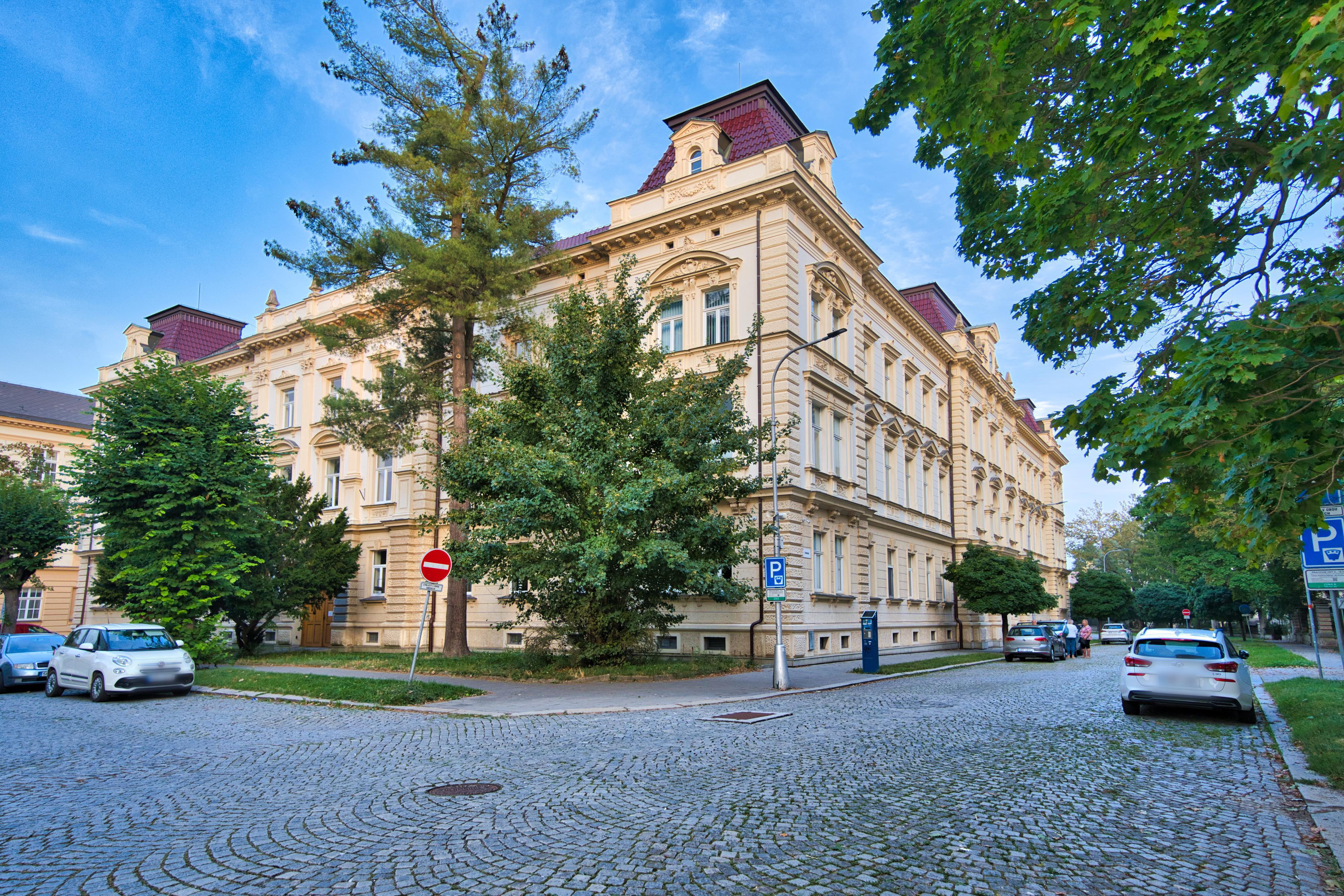 David Laštůvka Reality