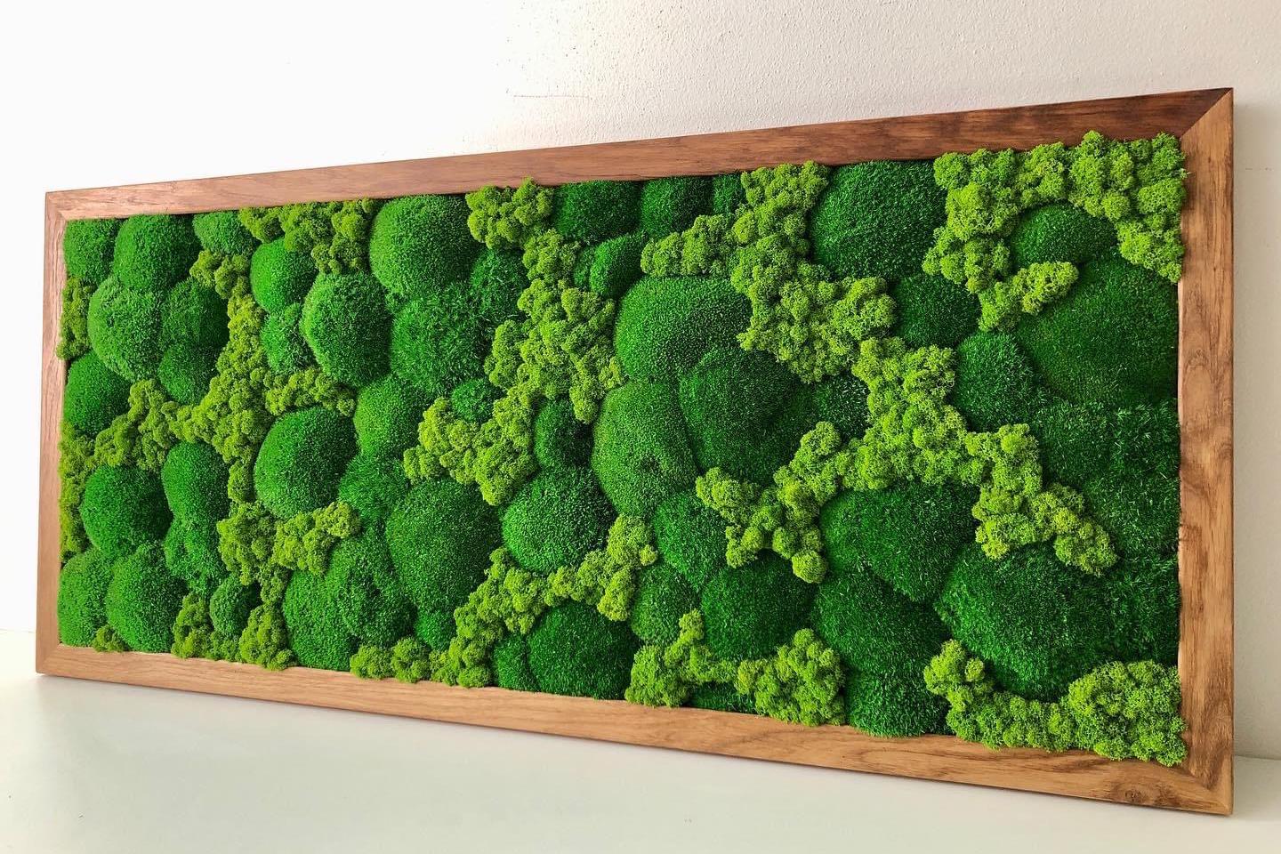 MECHOVÉ OBRAZY - MgA. Lucie Tomis