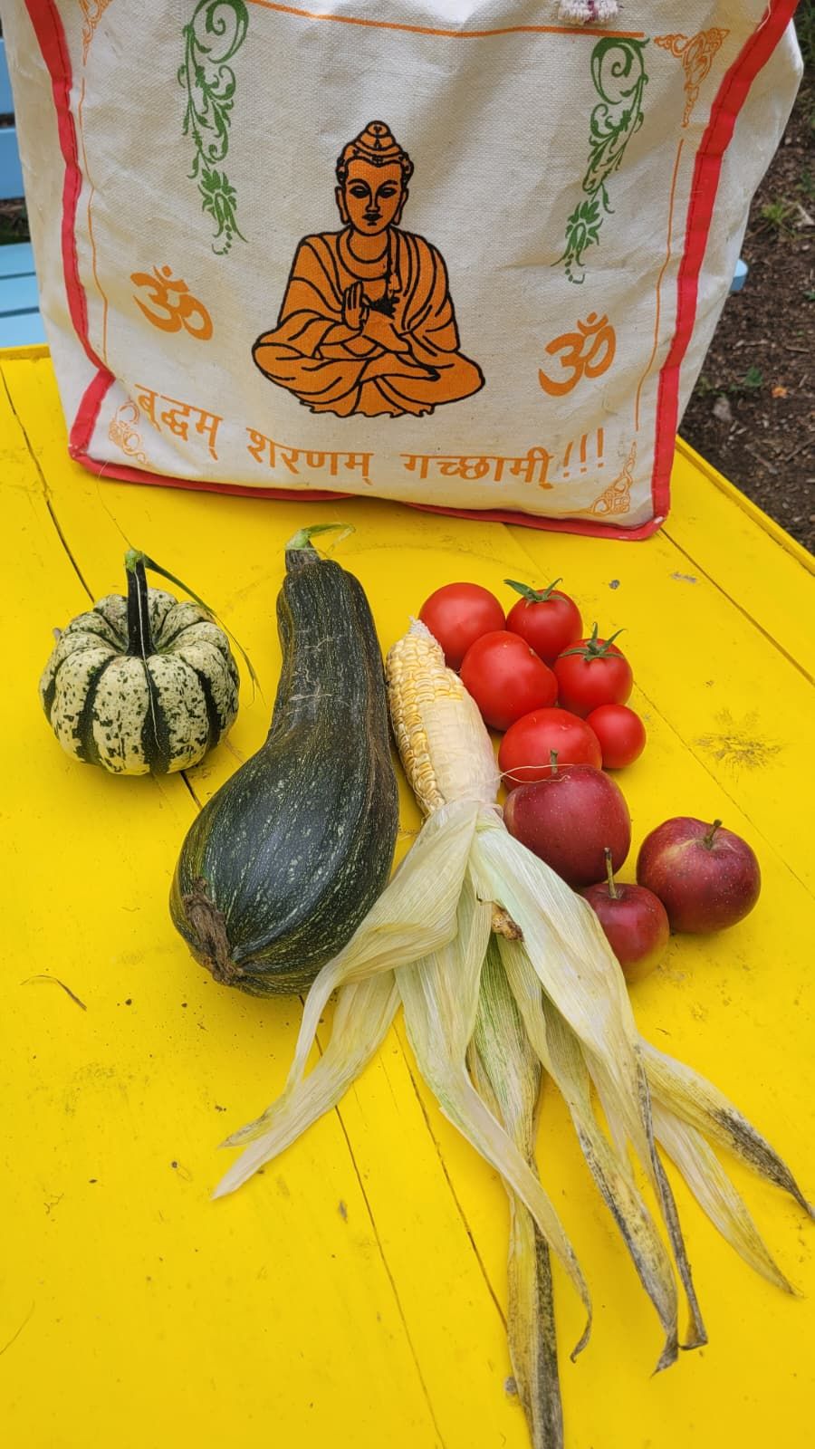 Komunitní zahrada Rybka foto 3