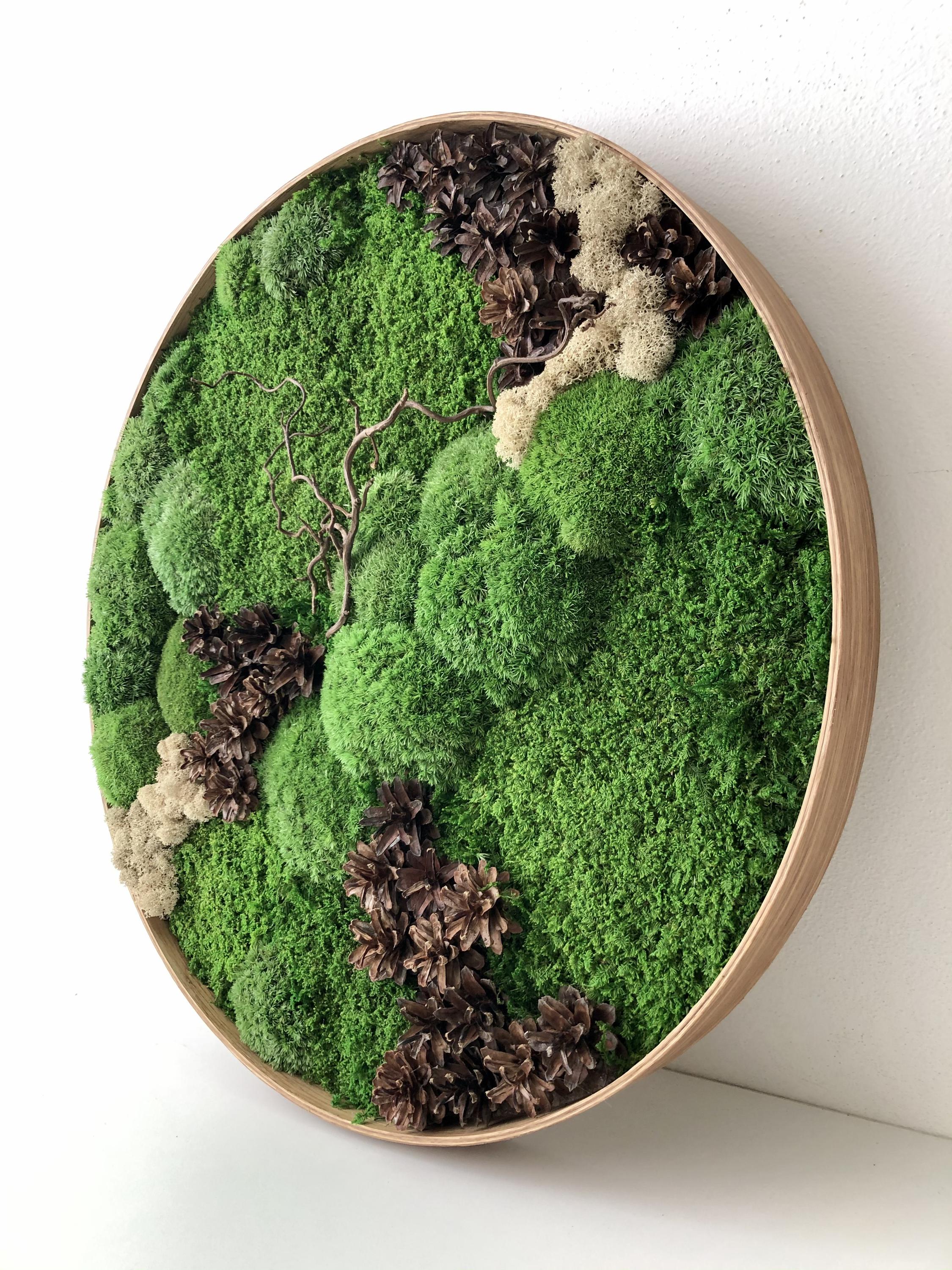 MECHOVÉ OBRAZY - MgA. Lucie Tomis foto 4