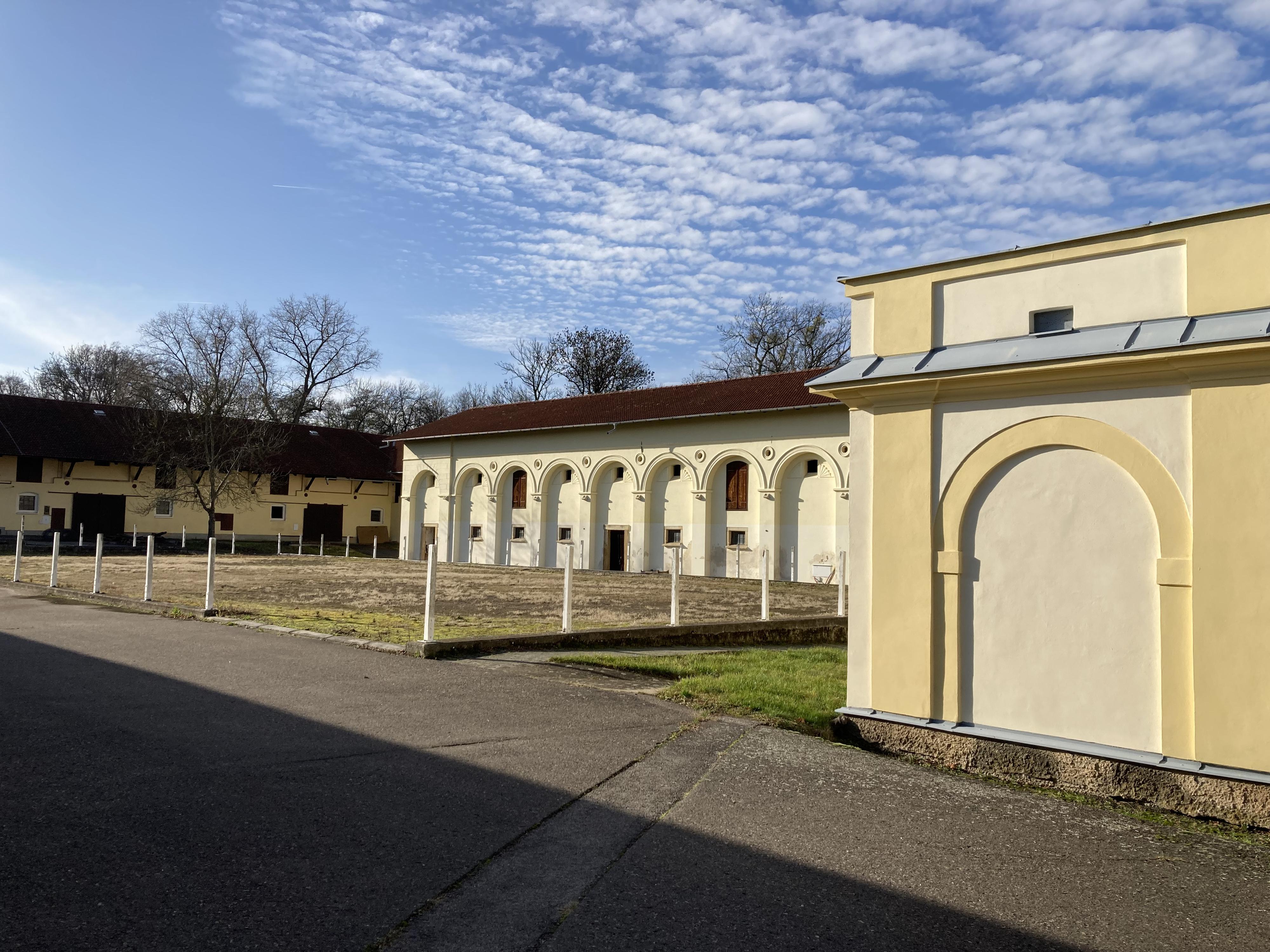 Jezdecká škola Dobřenice foto 3