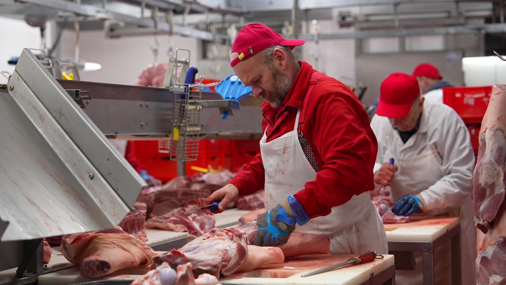 Maso - uzeniny Třebovle foto 2 (náhled videa)