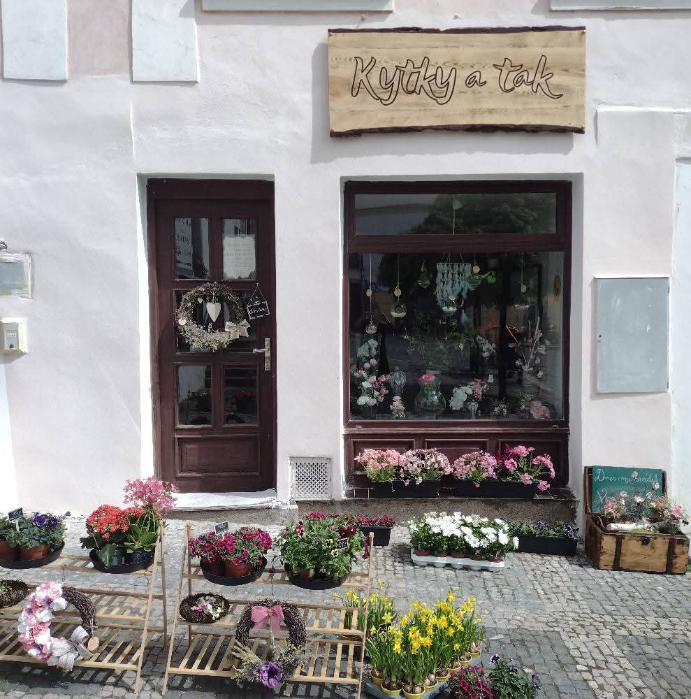 Kytky a tak foto 4