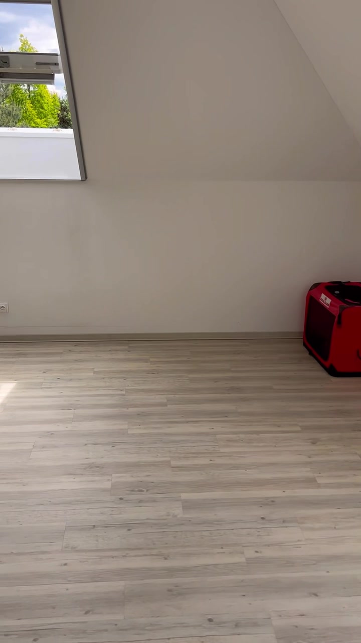 Beeclean foto 2 (náhled videa)