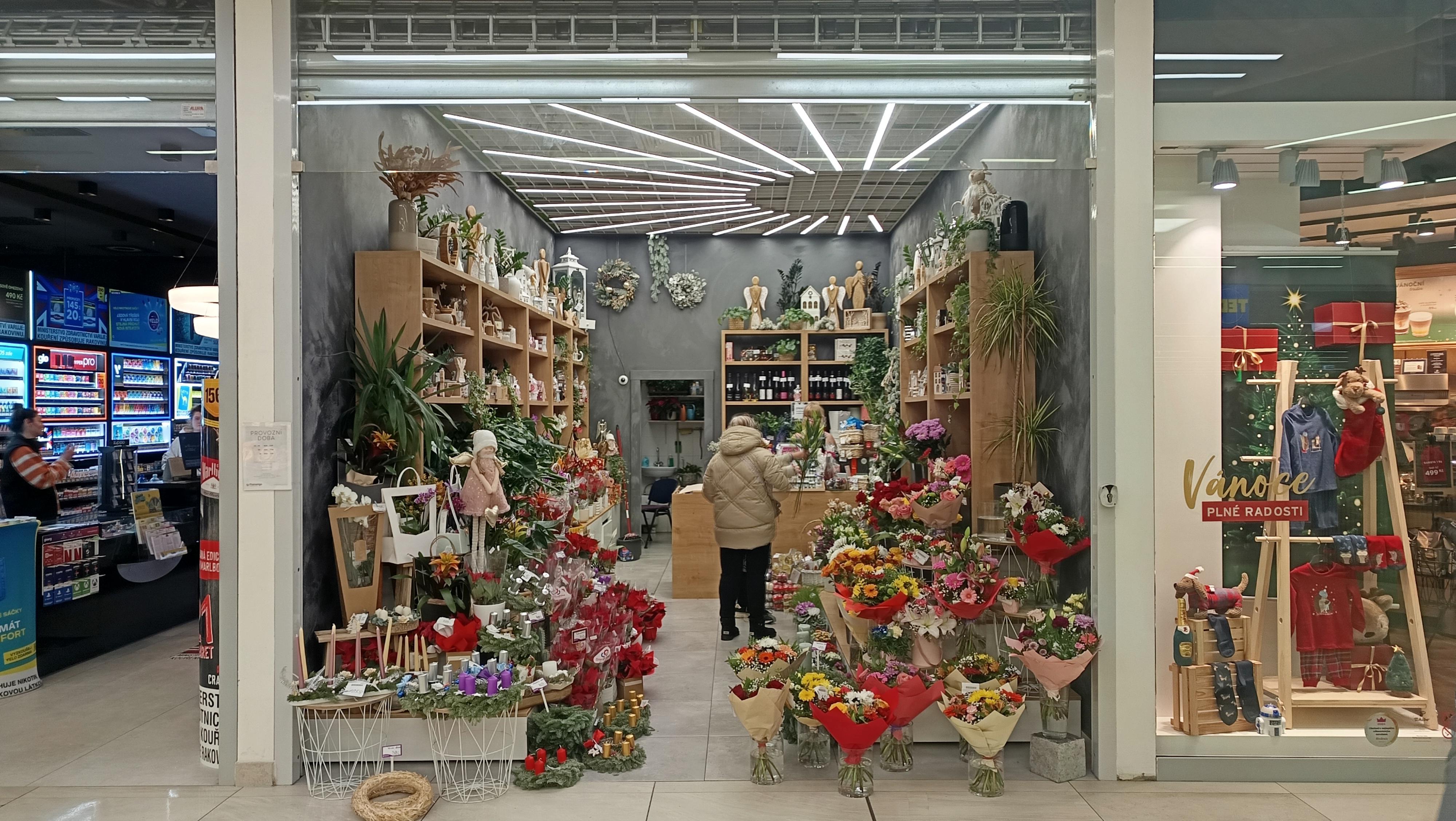 Flamengo květiny foto 1