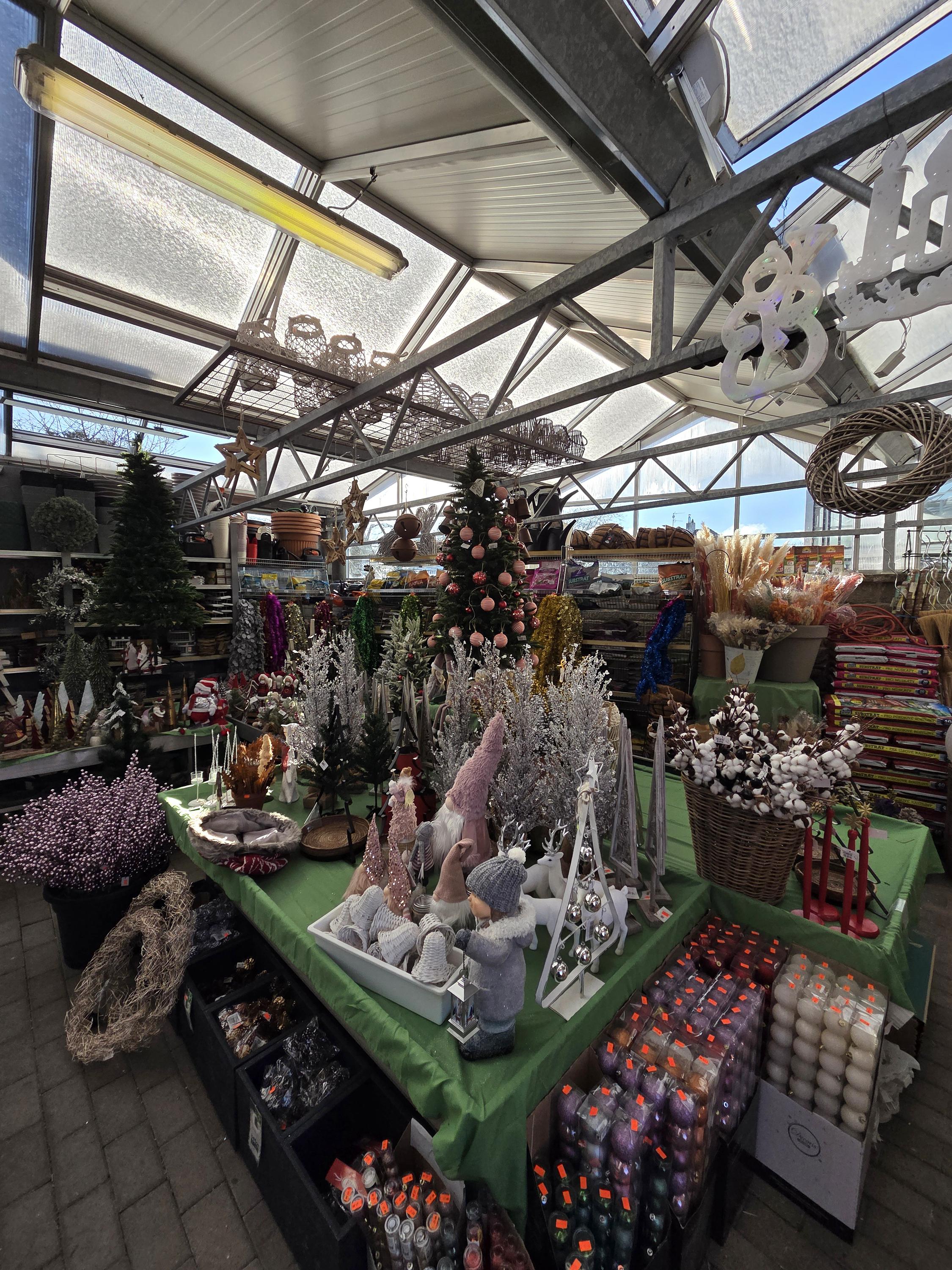 Květiny a zahrada - Dušan Tomášek foto 4