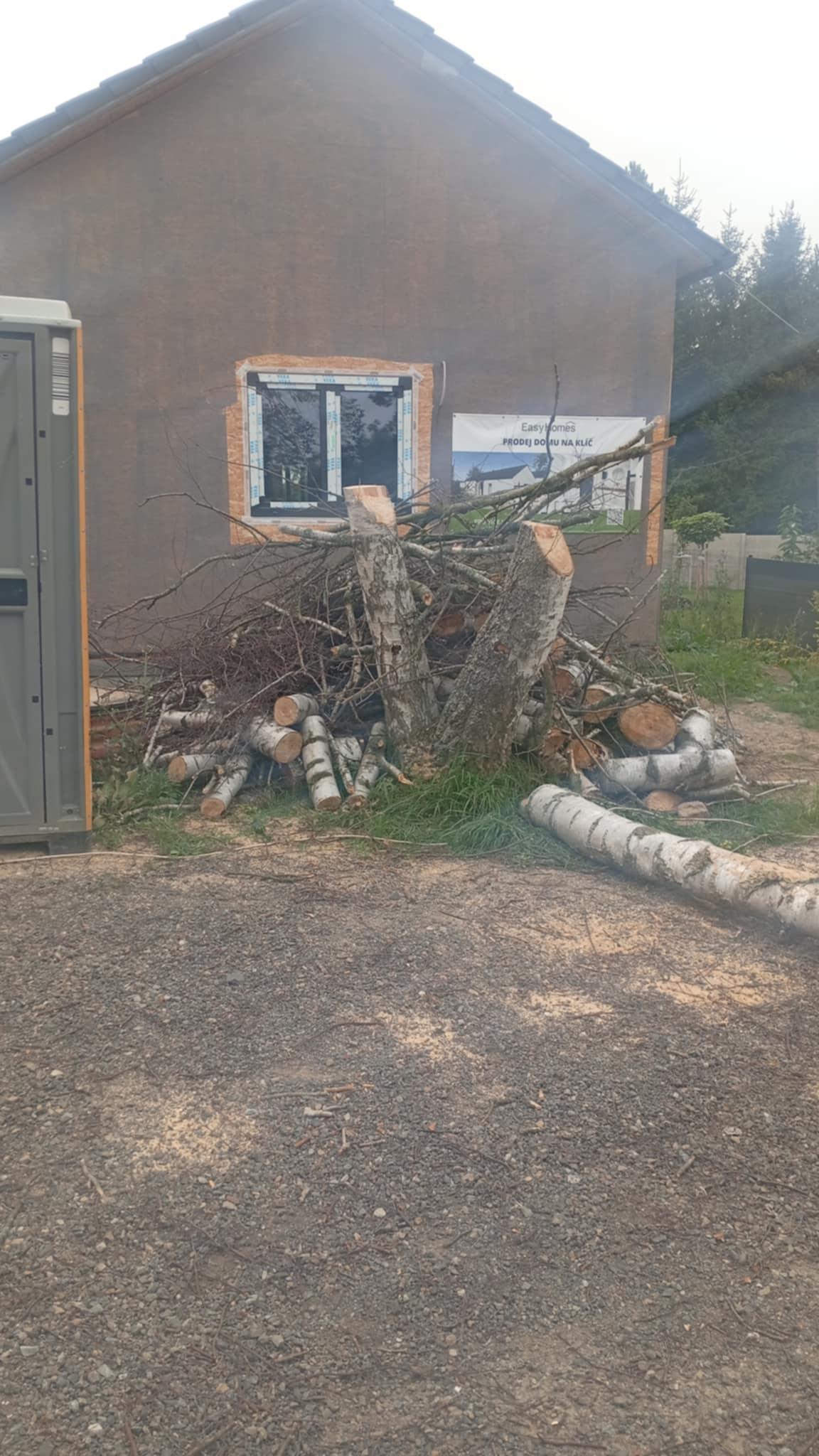 Kácení stromů JP foto 6