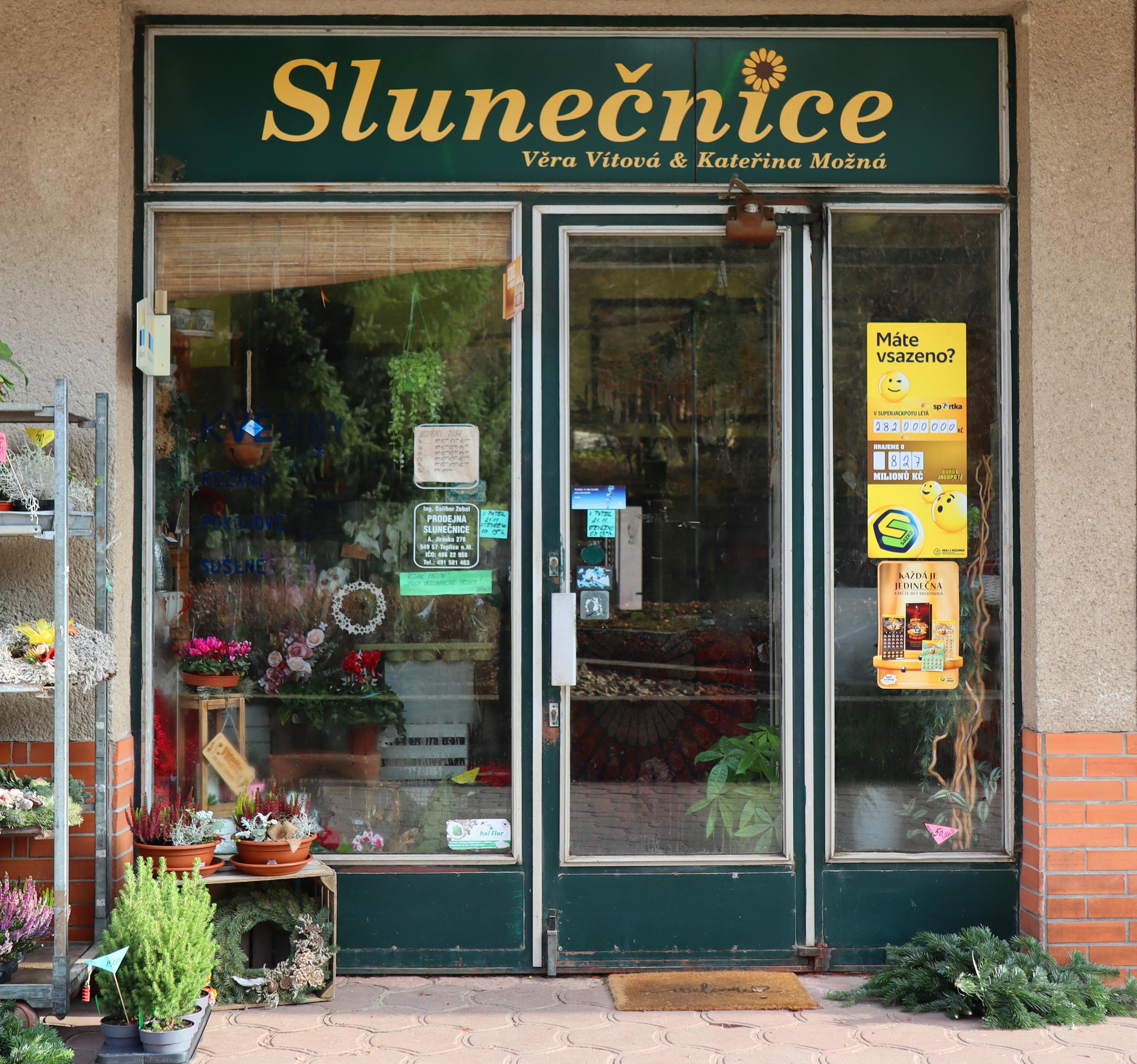 Slunečnice Věra Vítová & Kateřina Možná foto 2