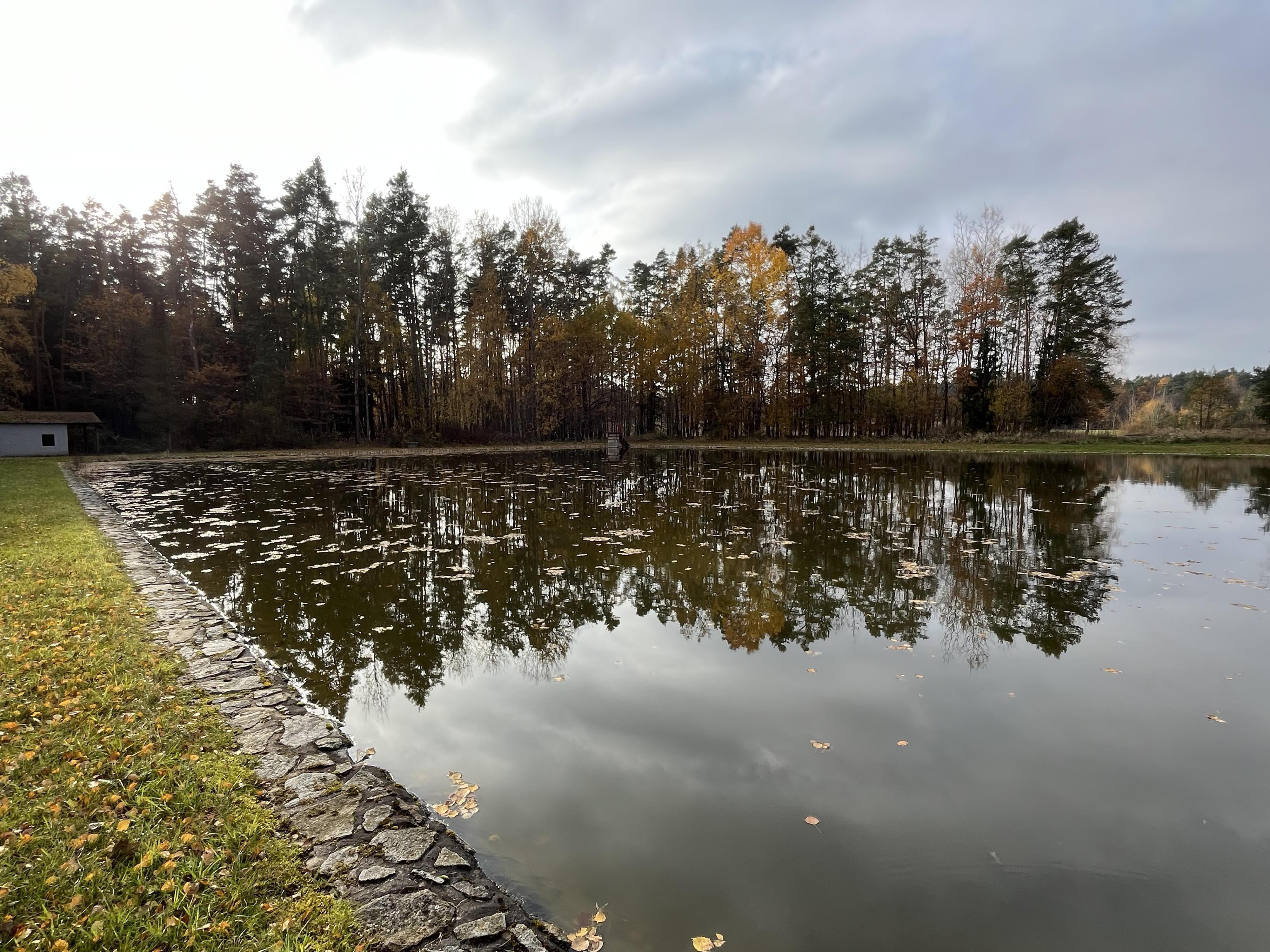 Koupaliště Borkovice foto 3