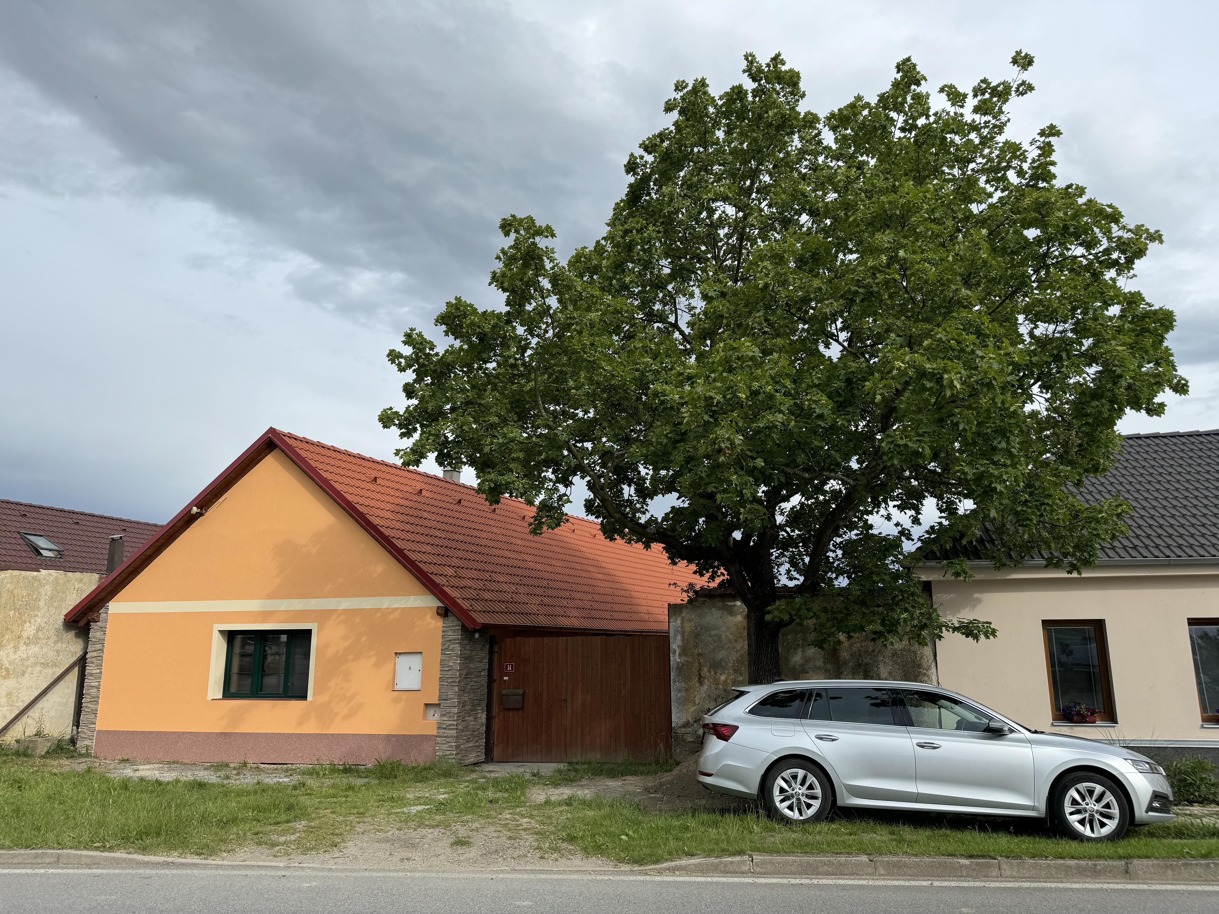 Reiki Orcolus foto 2