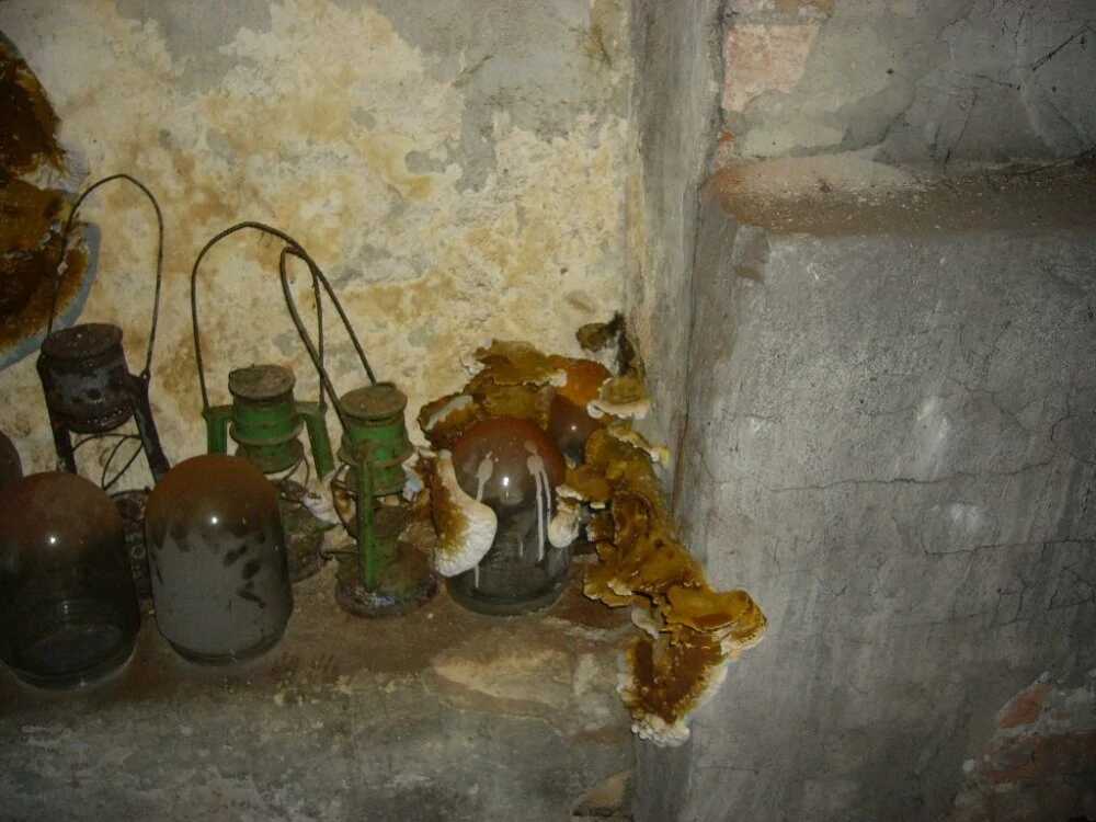 KRAINA SERVIS s.r.o. foto 2