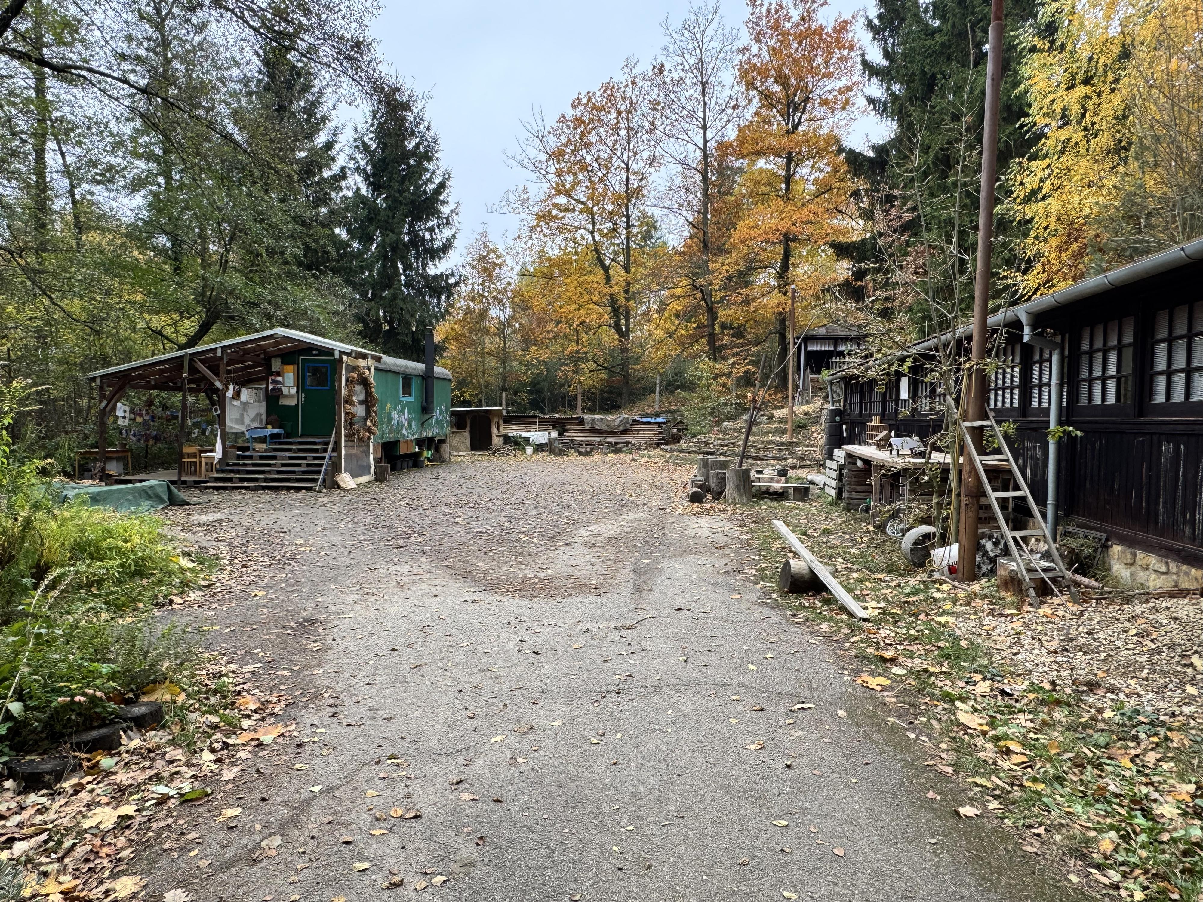 Lesní školka Jelínek foto 2
