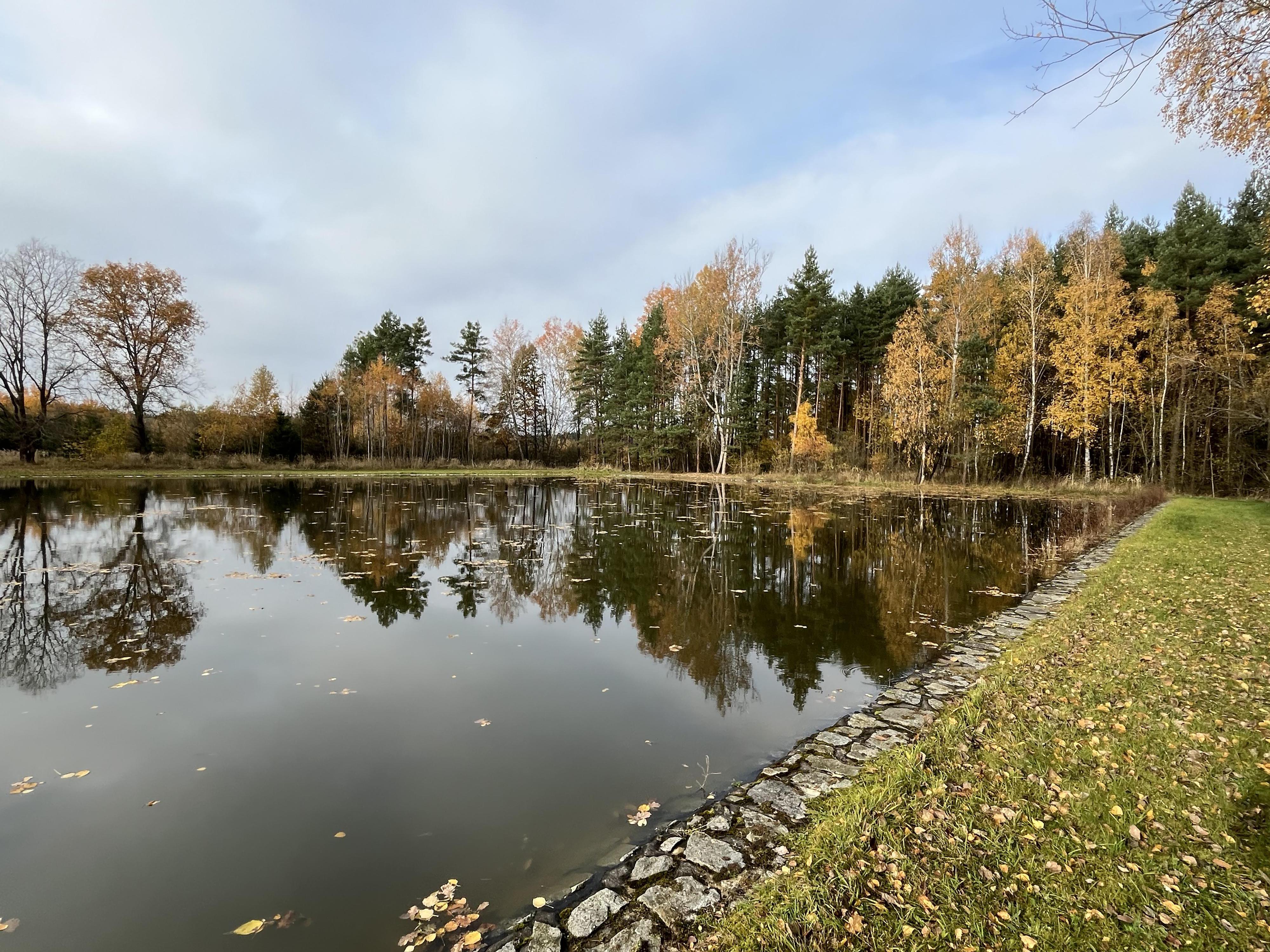 Koupaliště Borkovice foto 2