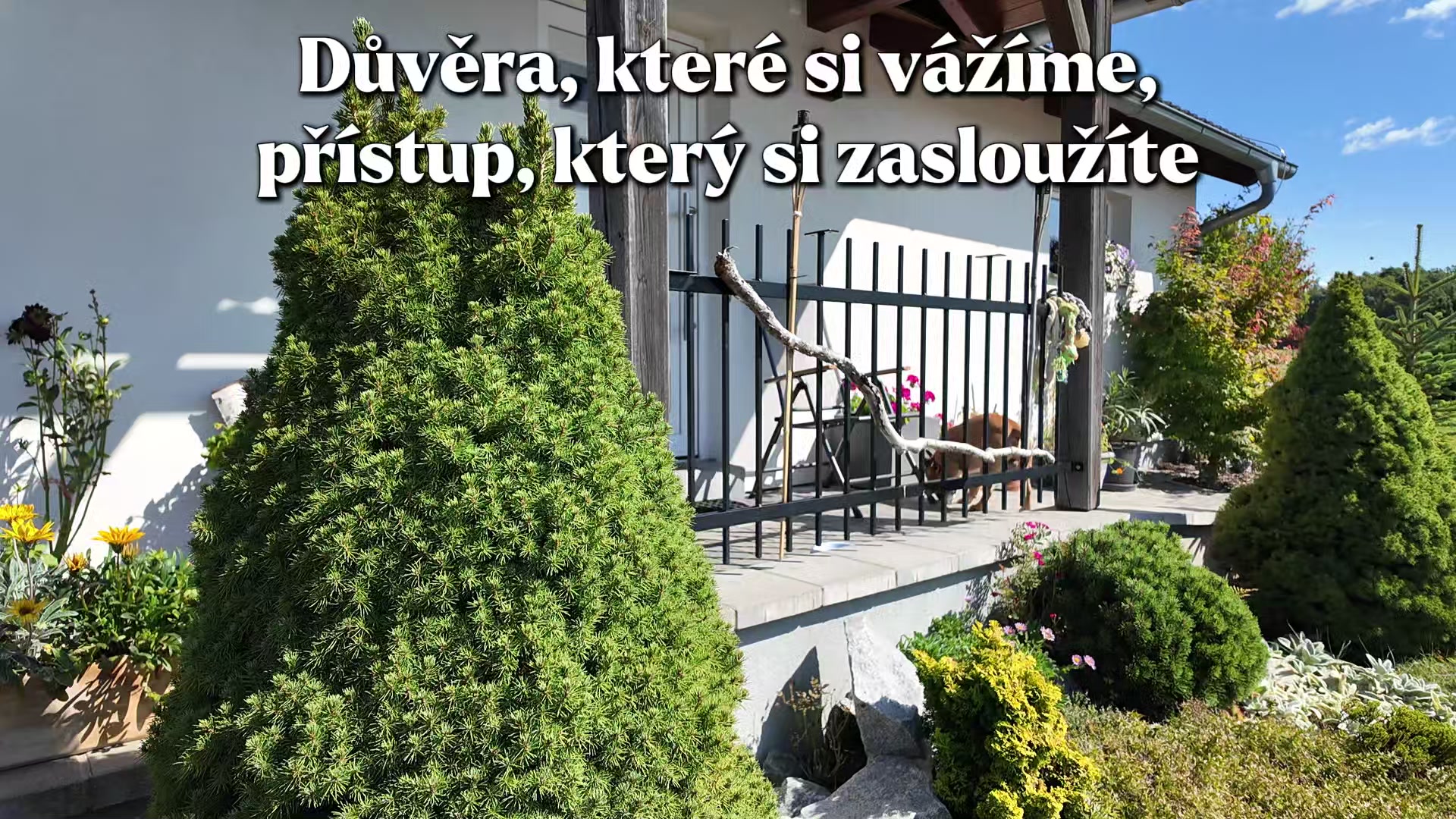 MARTTOM Reality foto 2 (náhled videa)