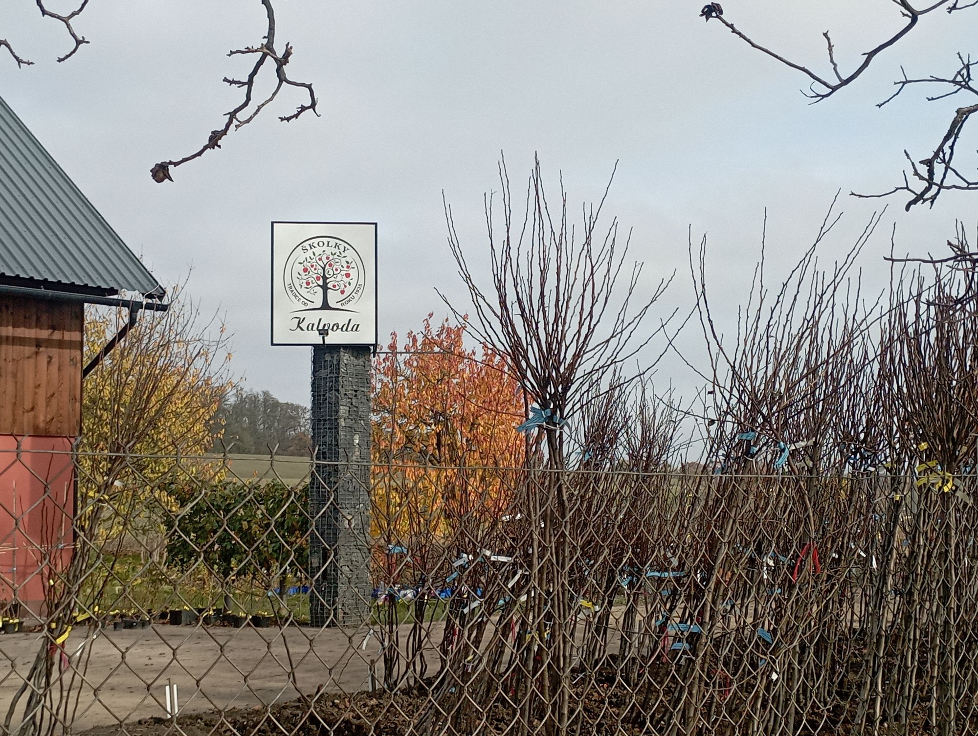 Ing. Jiří Novák - Školky Kalvoda foto 6