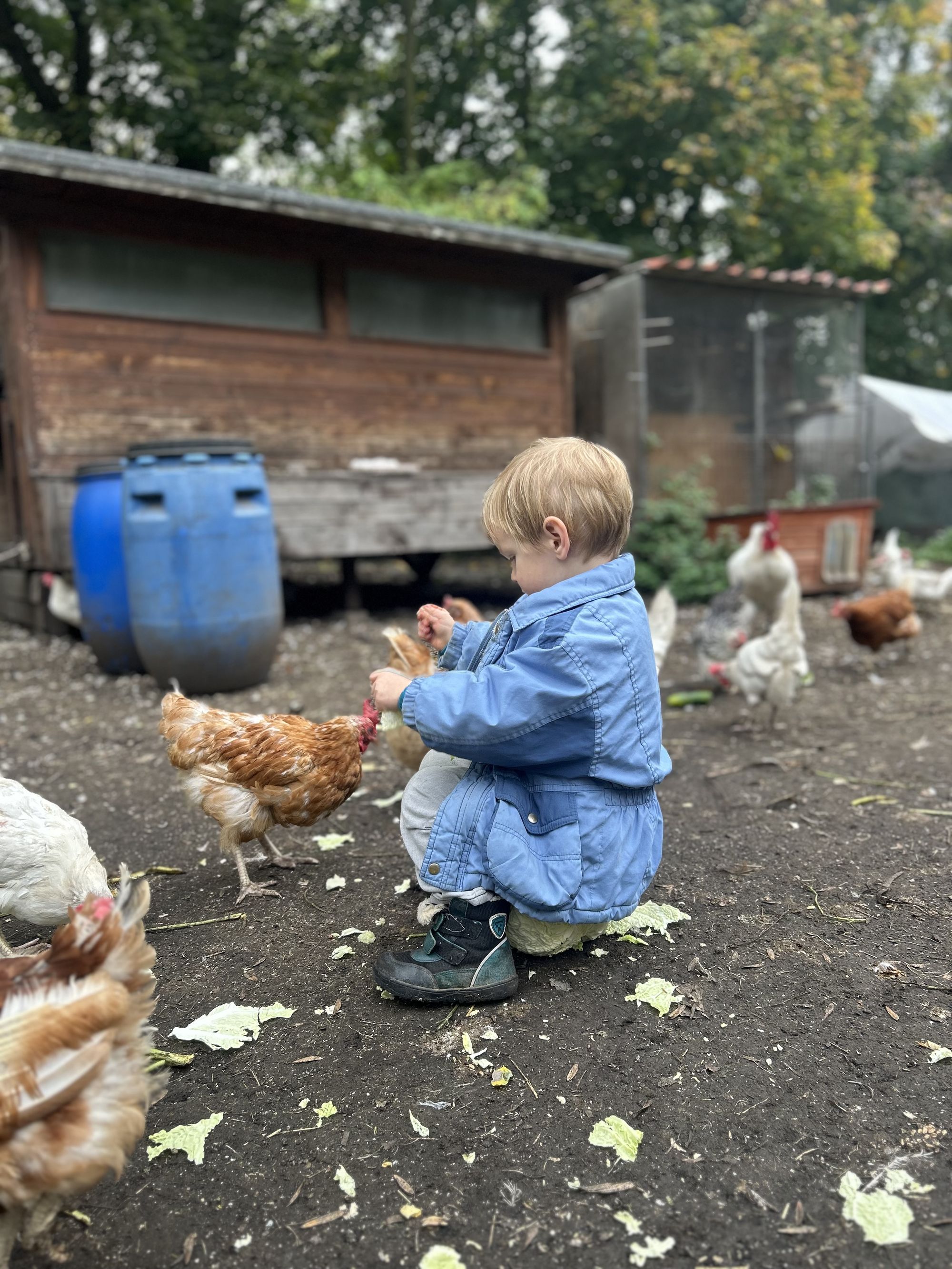Malý farmář komunitní zahrada foto 2