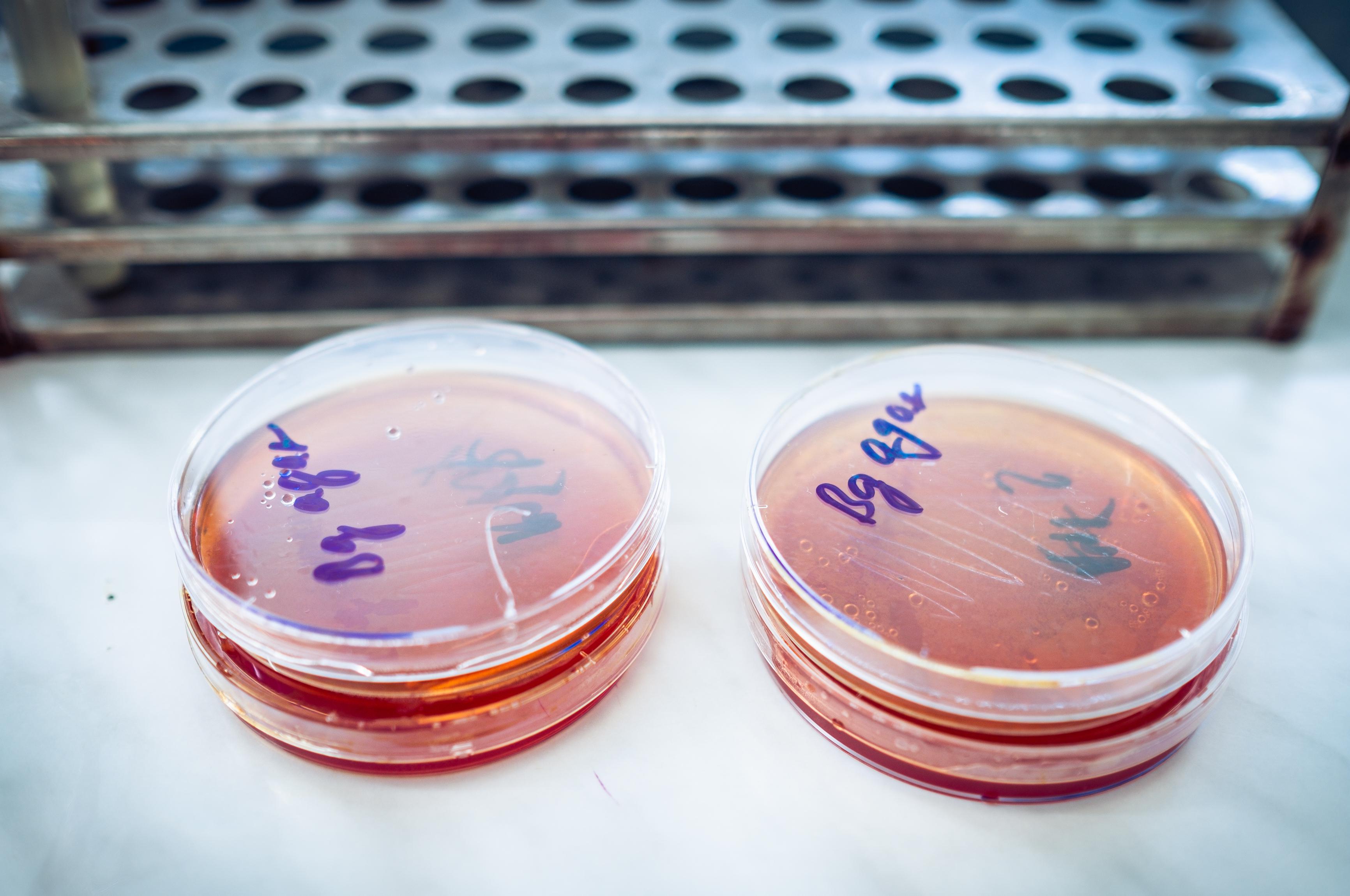 BIOANALYTIKA CZ s.r.o.