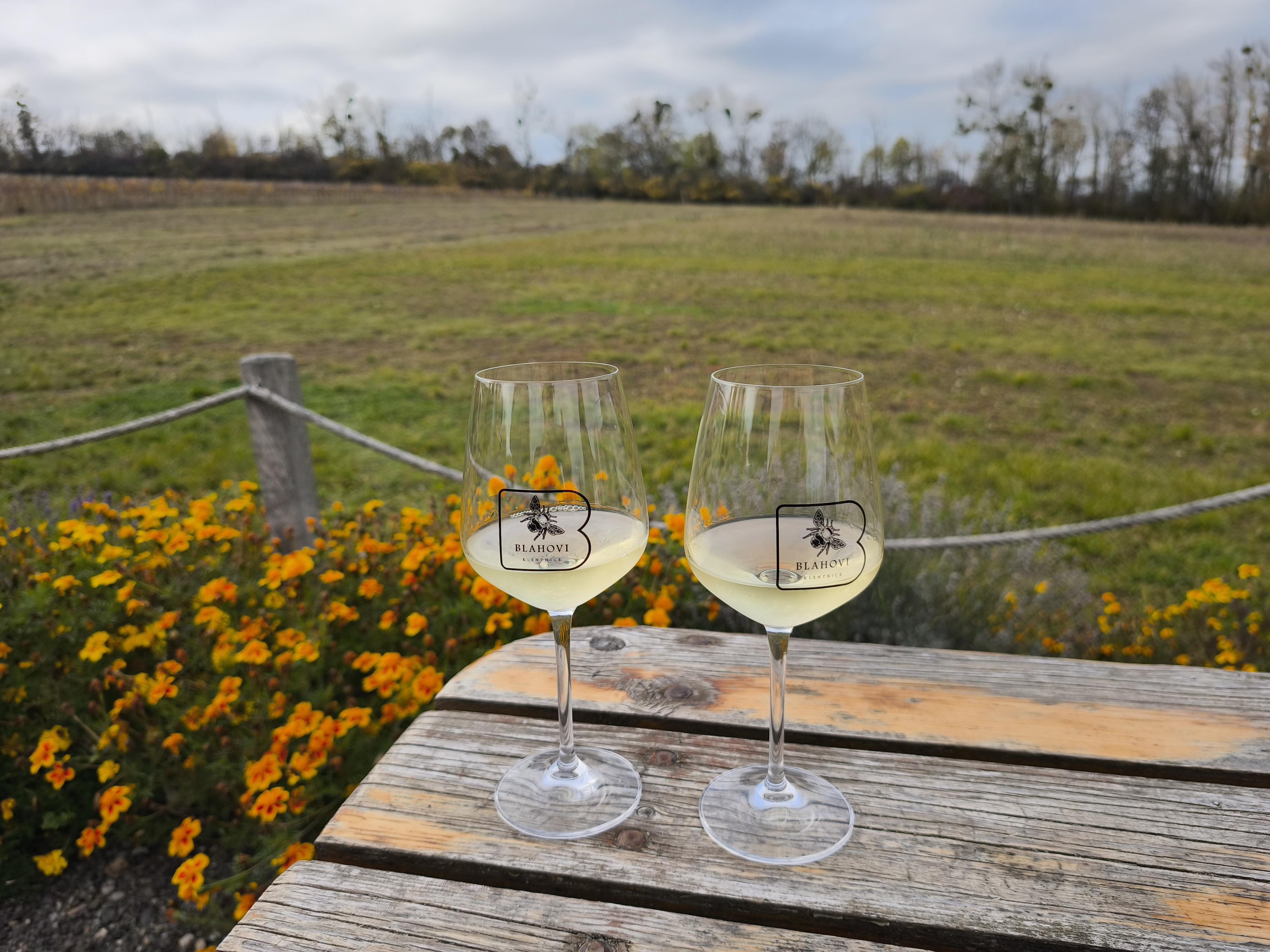 Vinný stánek Kletnice - Vinařství Blahovi