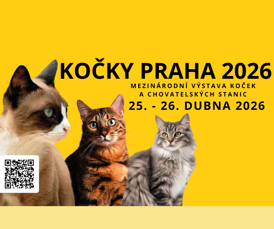 Chovatelé koček Praha 8 foto 2